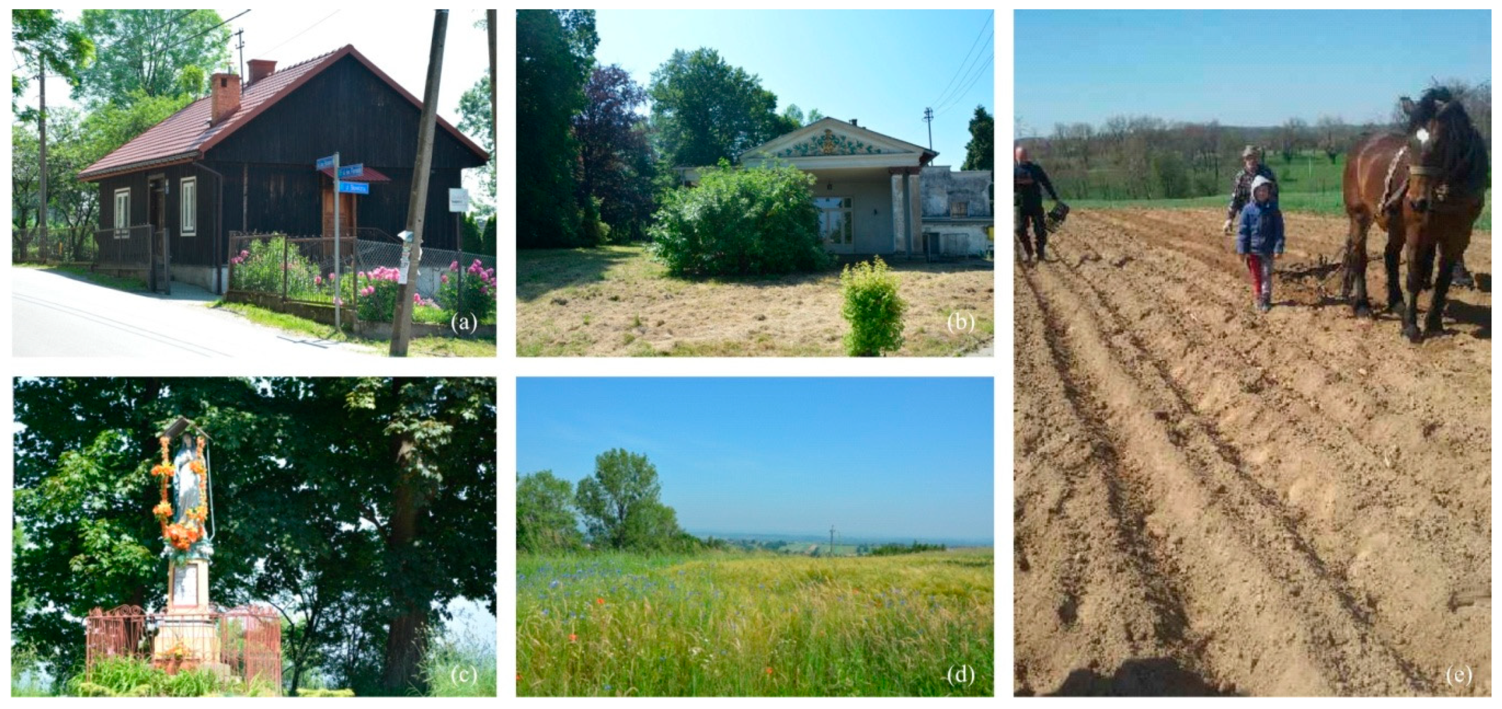 Sustainability 12 04638 g010