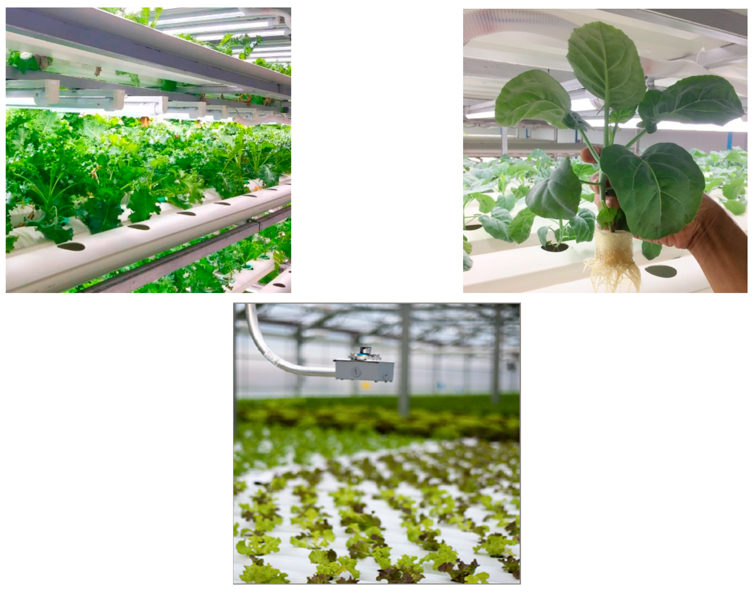 Sustainability 12 04640 g004