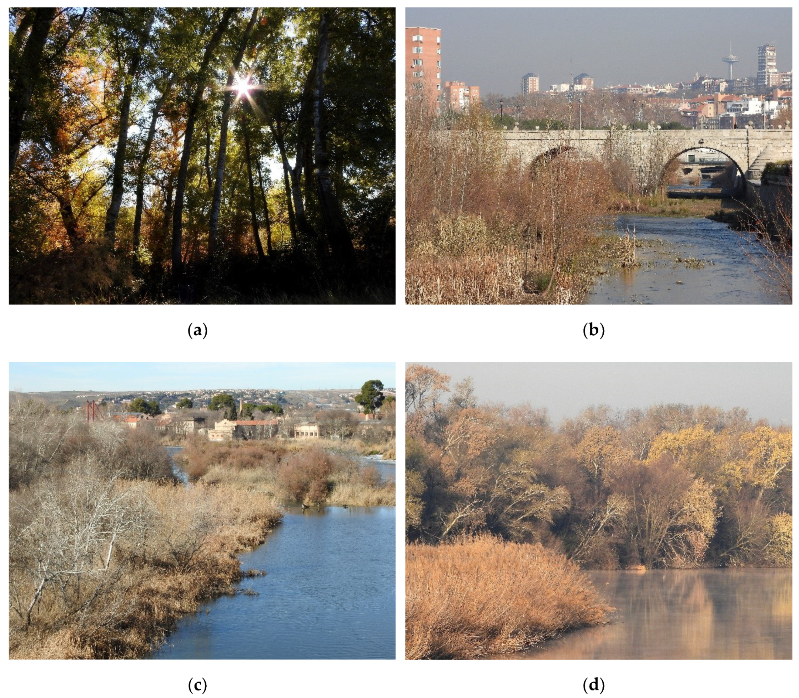 Sustainability 12 04661 g002