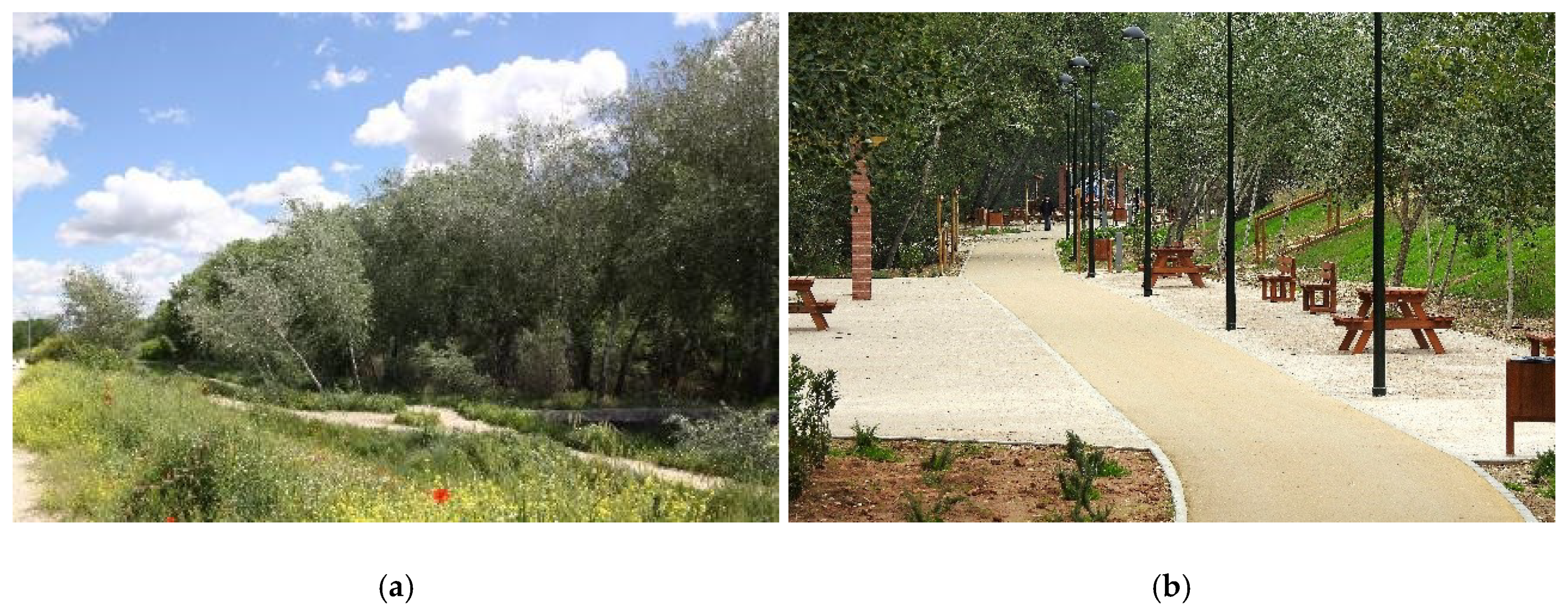 Sustainability 12 04661 g005