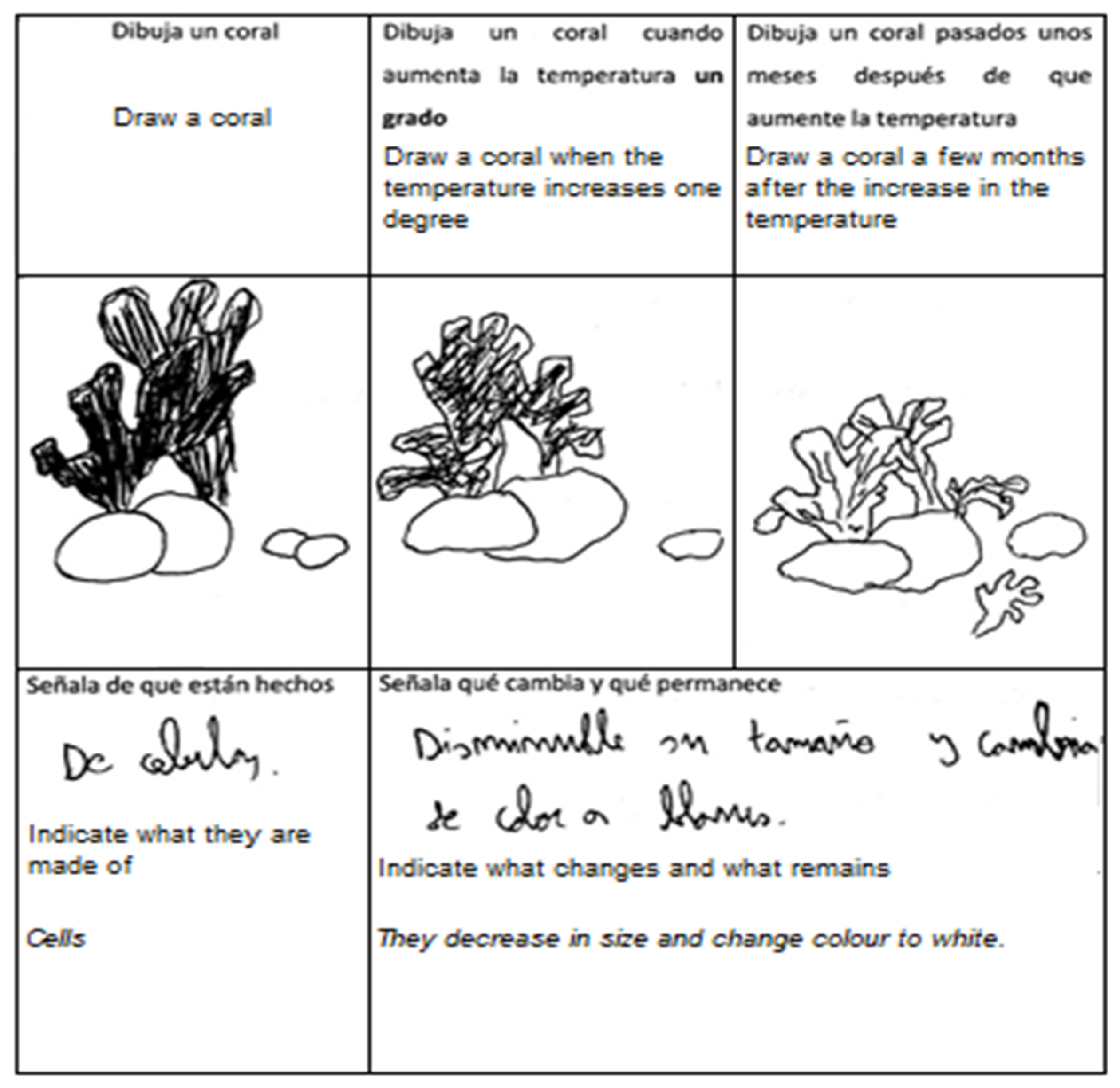 Sustainability 12 04676 g002