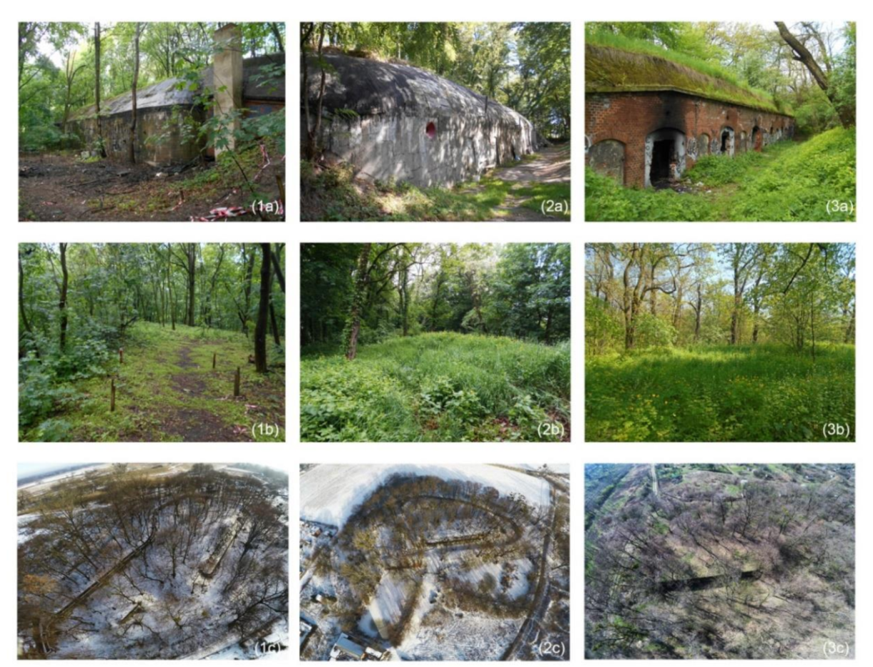 Sustainability 12 04721 g003