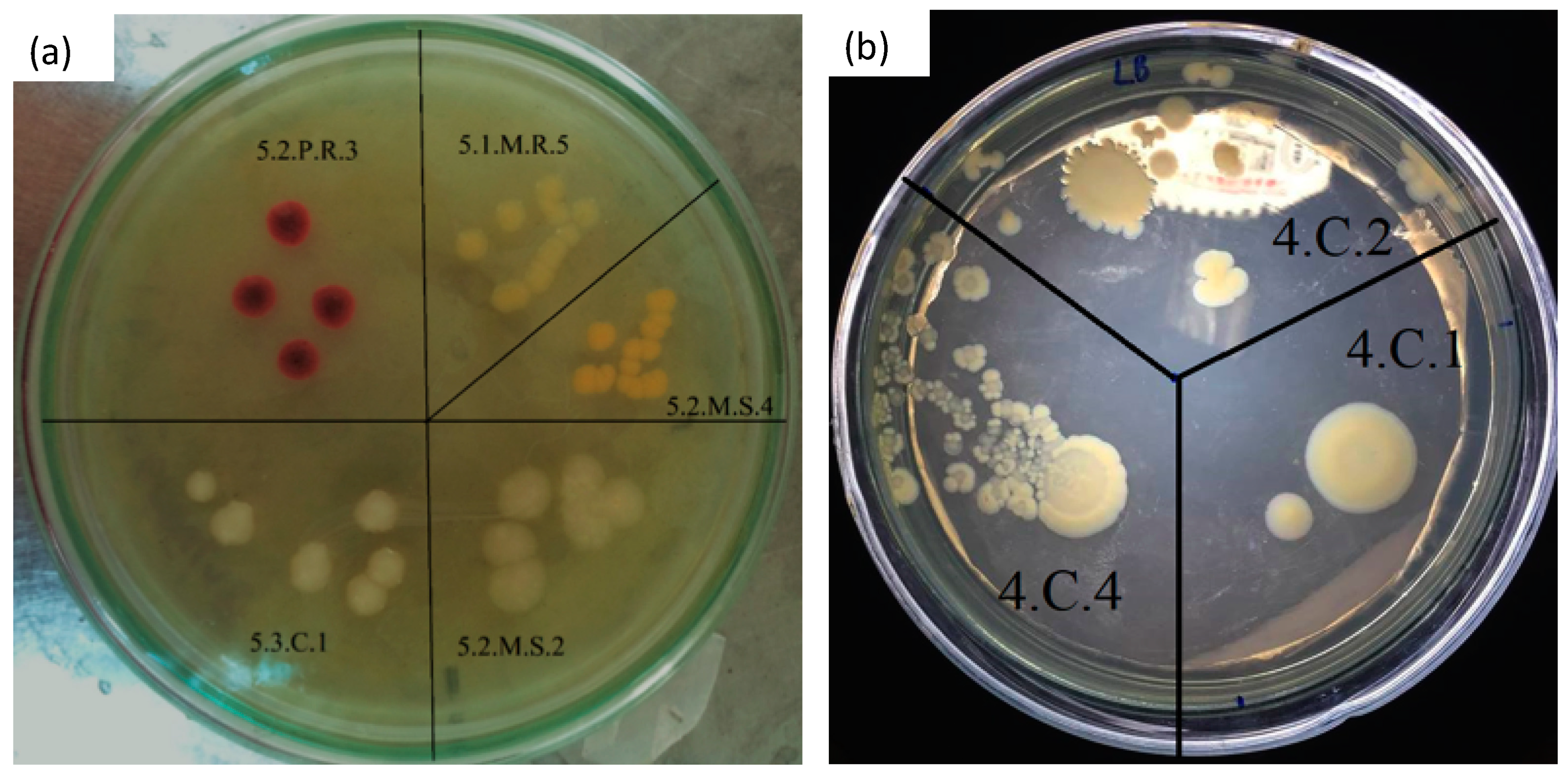 Sustainability 12 04758 g007 Sustainability 12 04758 g007