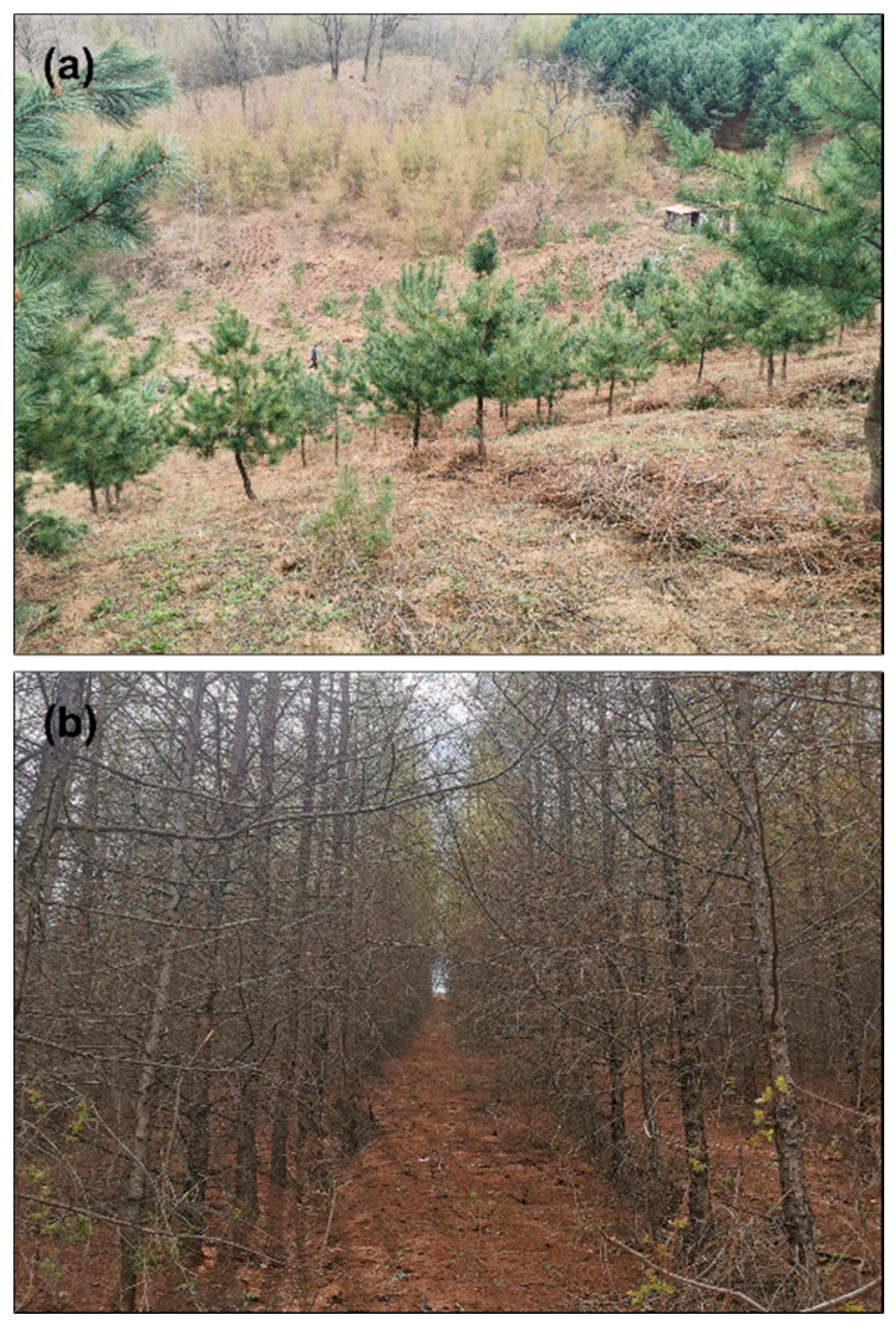 Sustainability 12 04762 g006 Sustainability 12 04762 g006