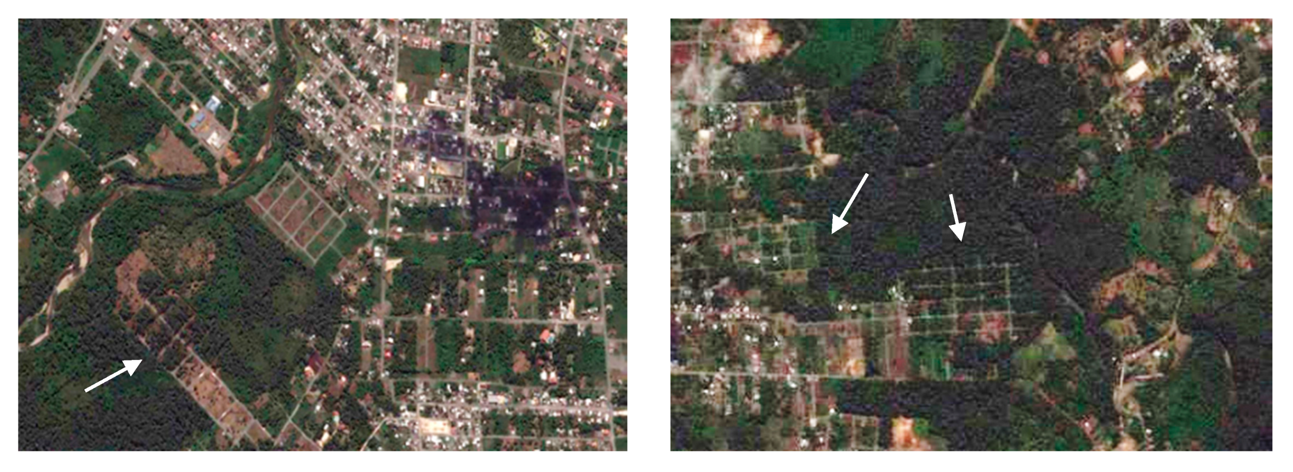 Sustainability 12 04768 g009 Sustainability 12 04768 g009