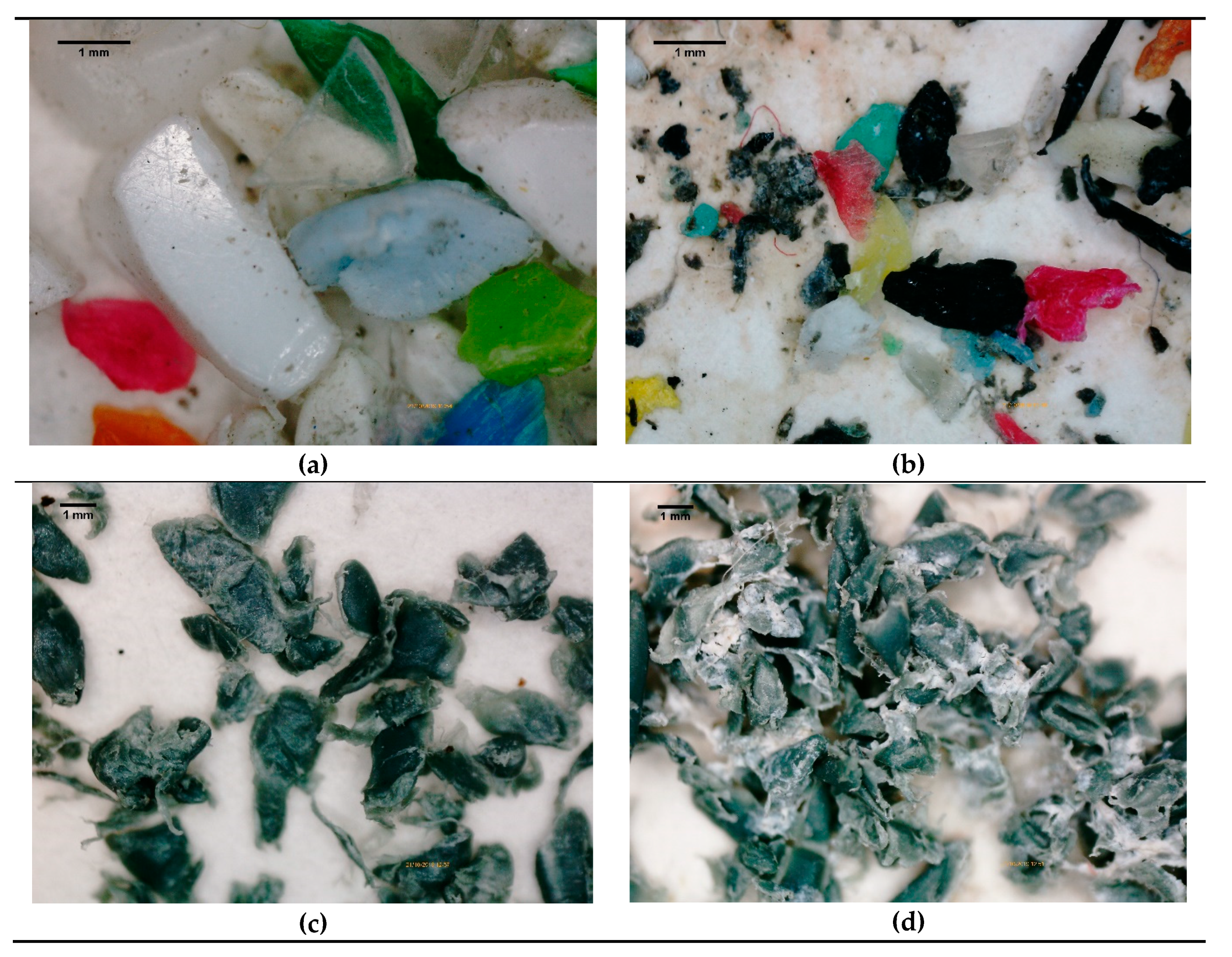 Sustainability 12 04792 g002 Sustainability 12 04792 g002