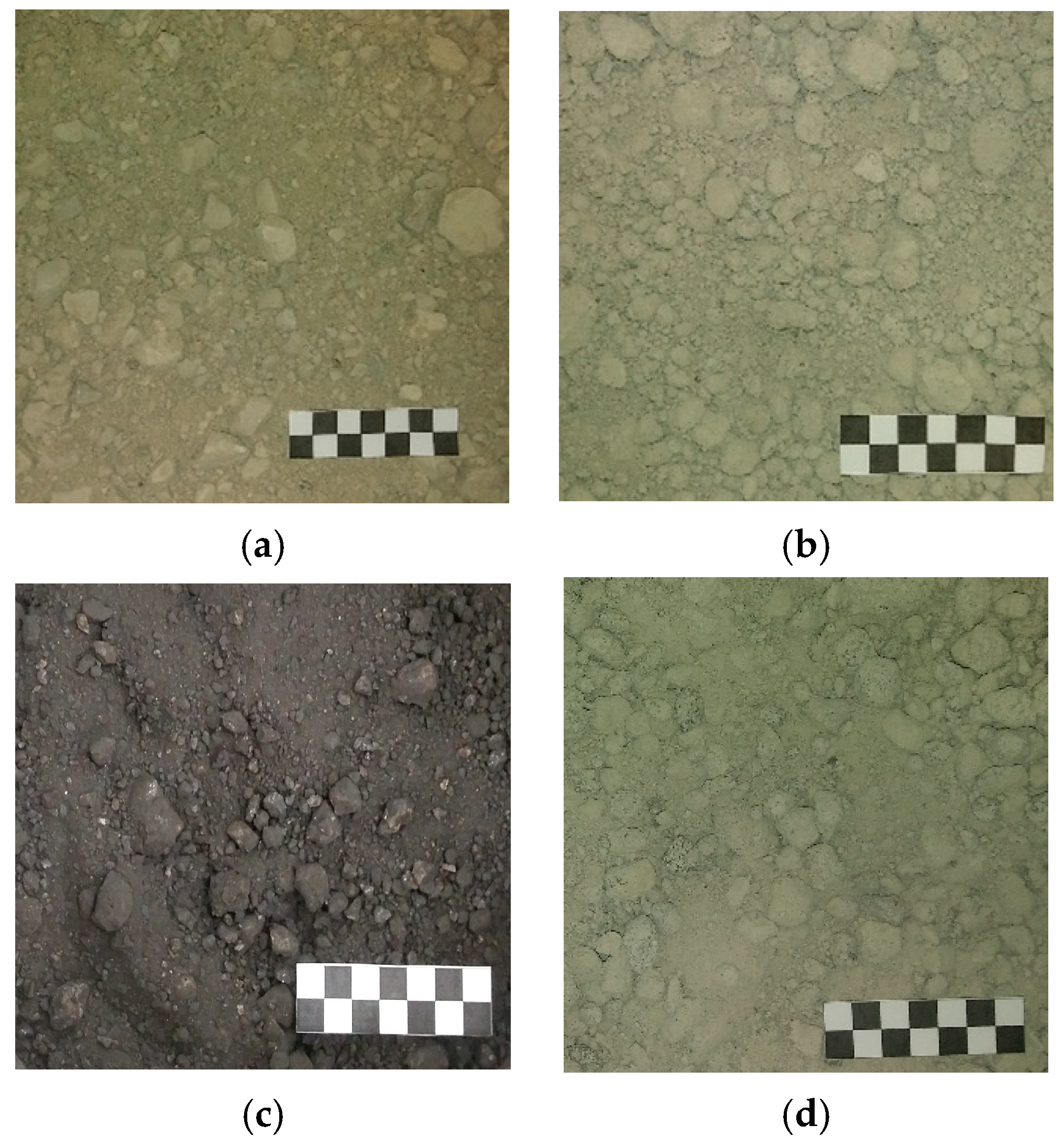 Sustainability 12 04843 g001