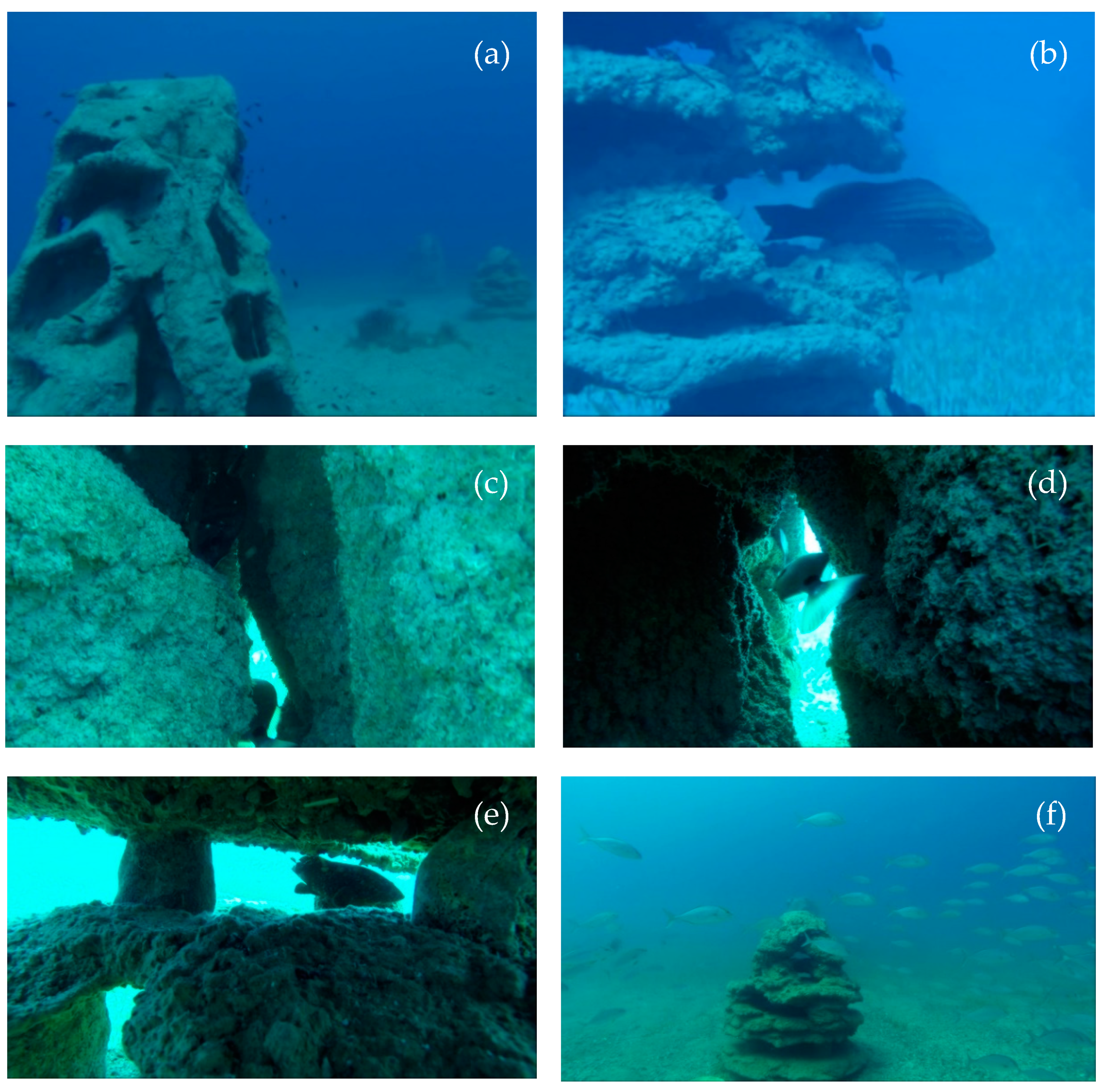 Sustainability 12 04847 g007