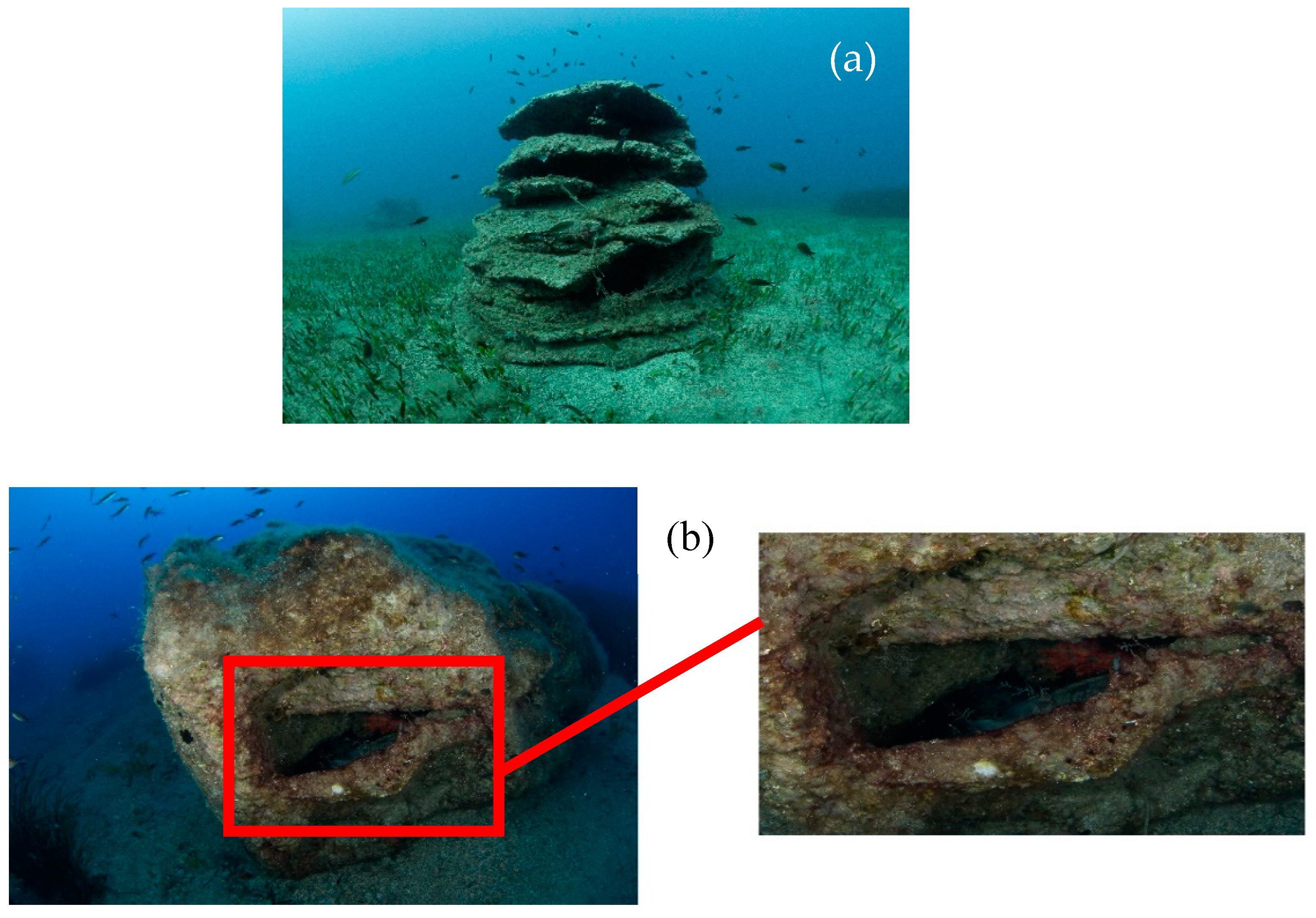 Sustainability 12 04847 g008