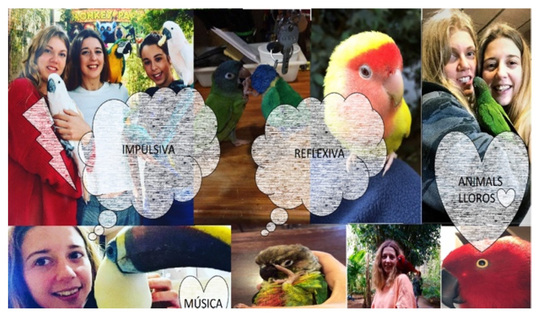 Sustainability 12 04870 g002