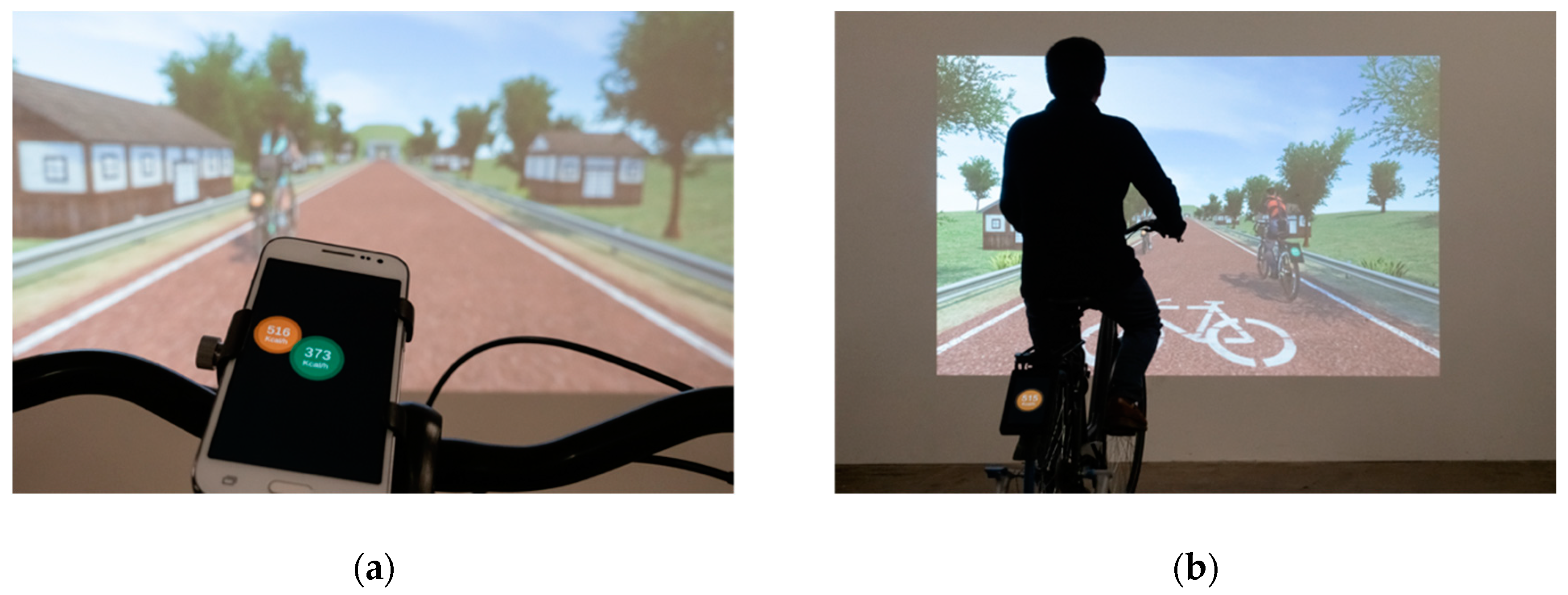 Sustainability 12 04904 g008