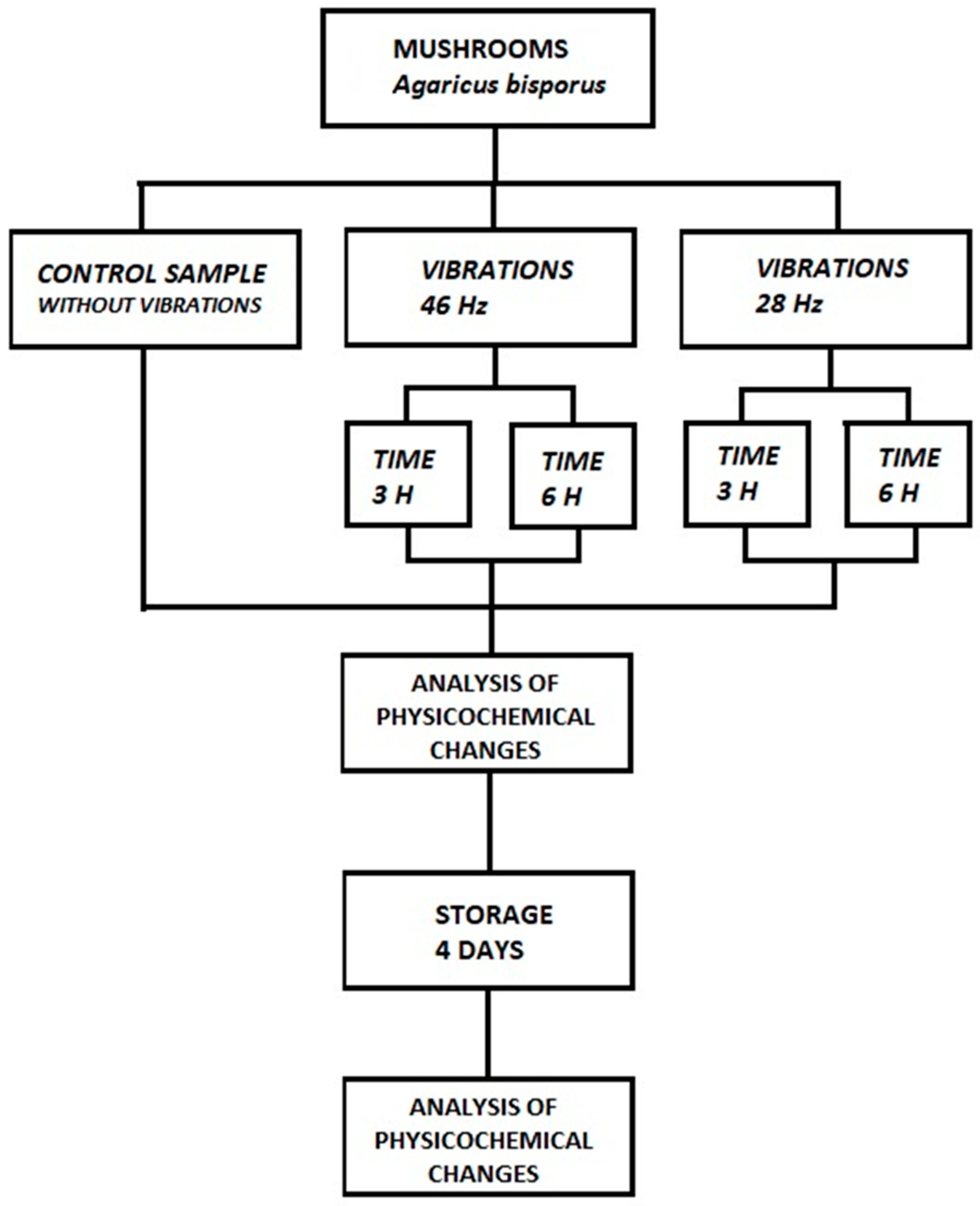 Sustainability 12 04993 g002 Sustainability 12 04993 g002
