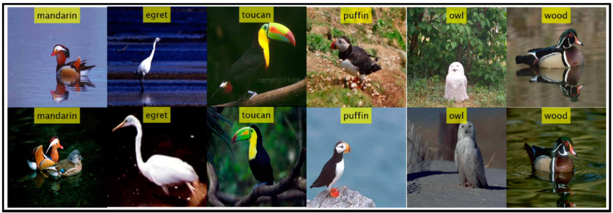 Sustainability 12 05037 g005 Sustainability 12 05037 g005