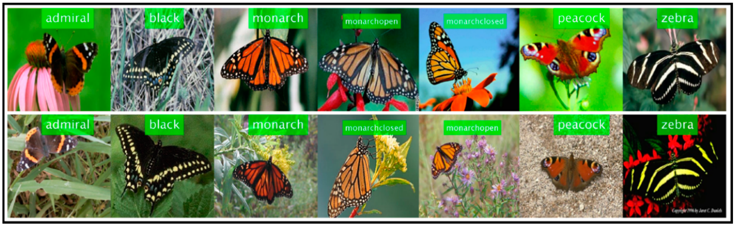 Sustainability 12 05037 g006 Sustainability 12 05037 g006