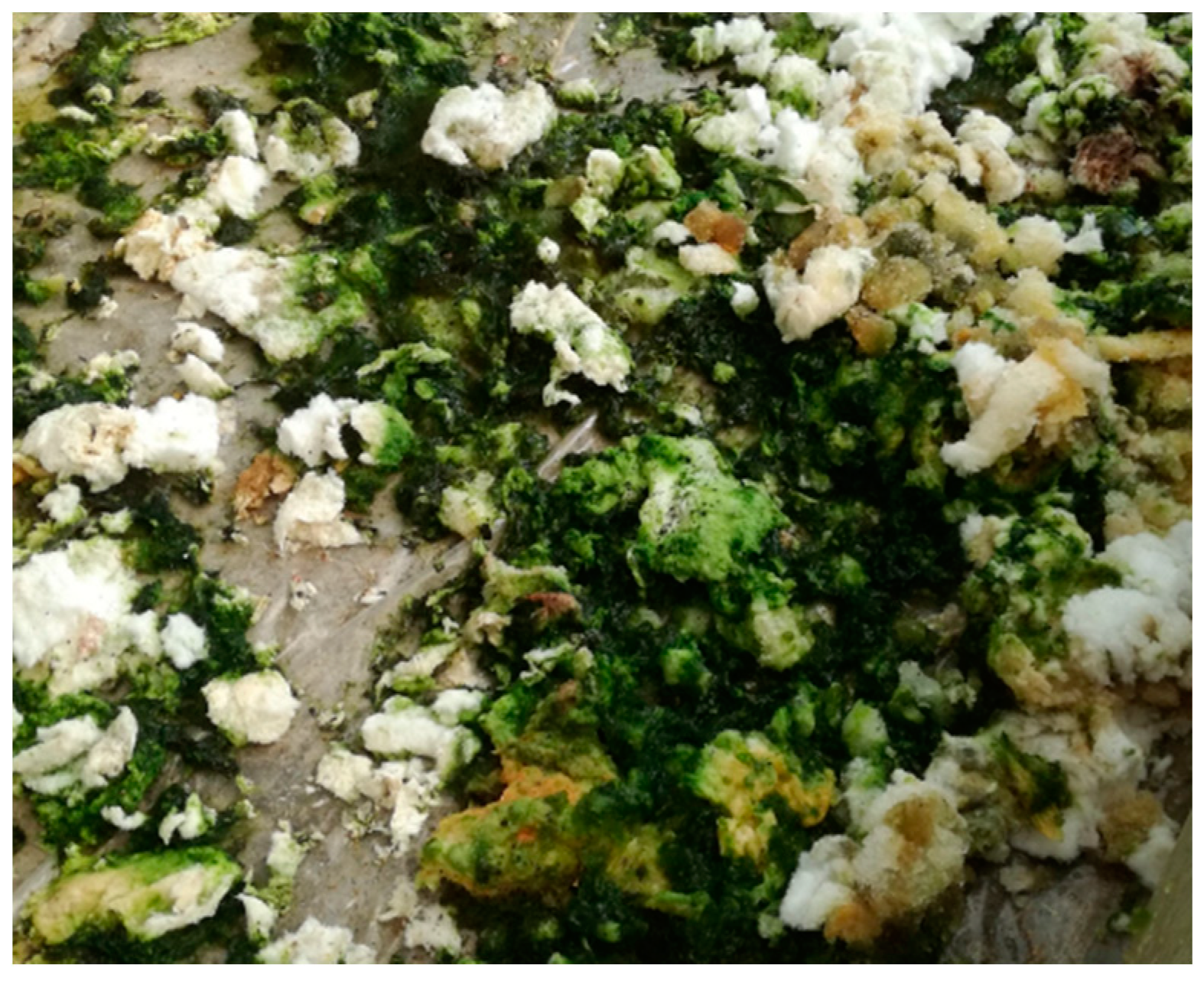 Sustainability 12 05055 g004