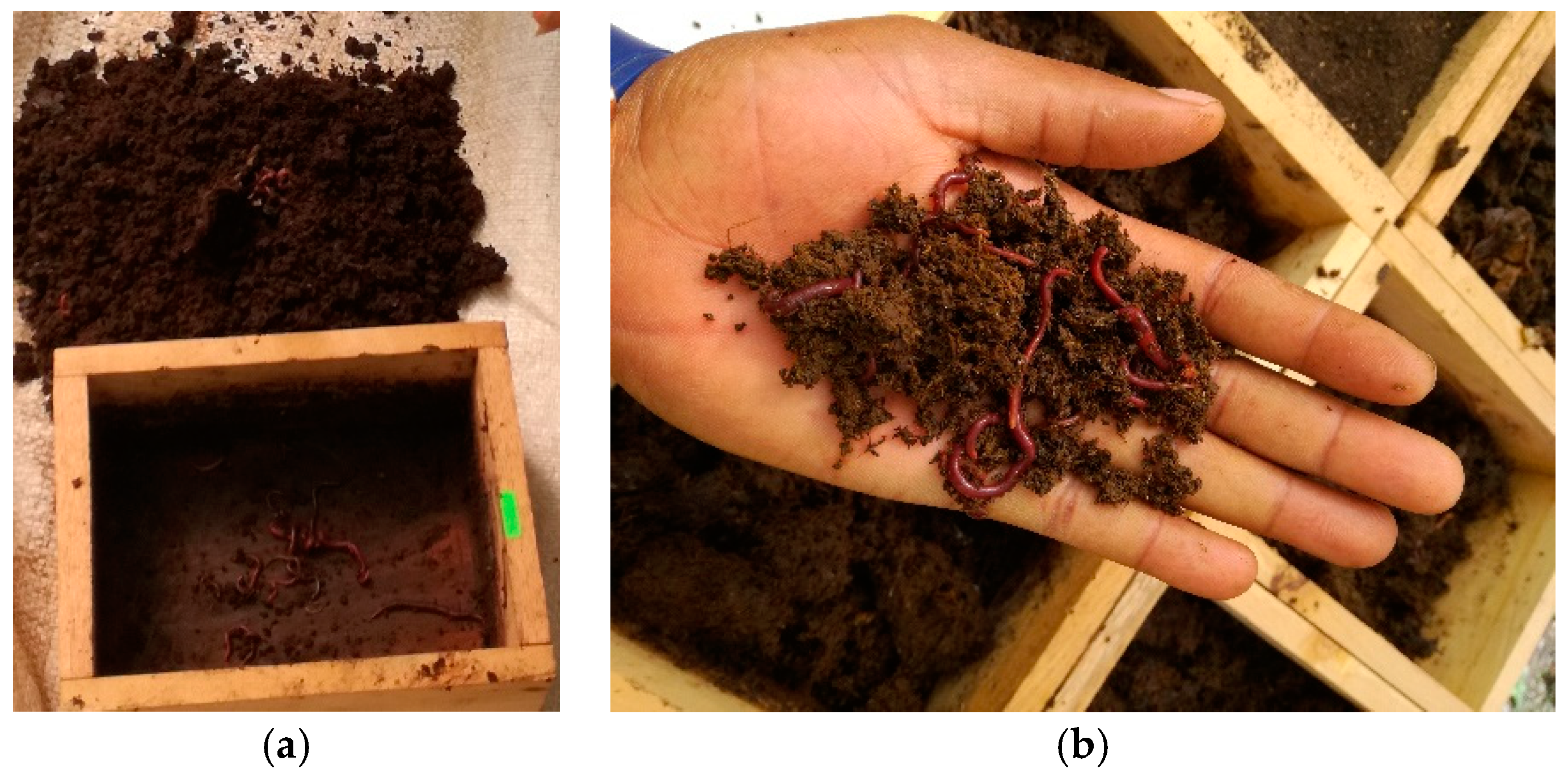 Sustainability 12 05055 g006