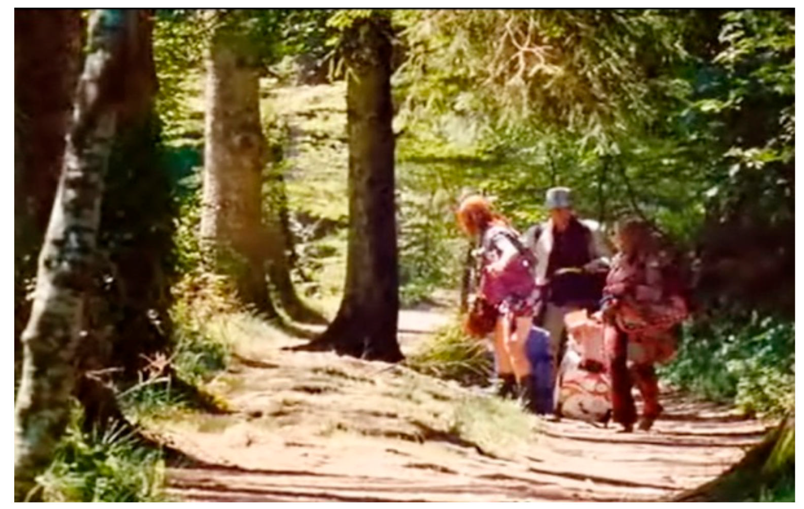 Sustainability 12 05080 g009 Sustainability 12 05080 g009