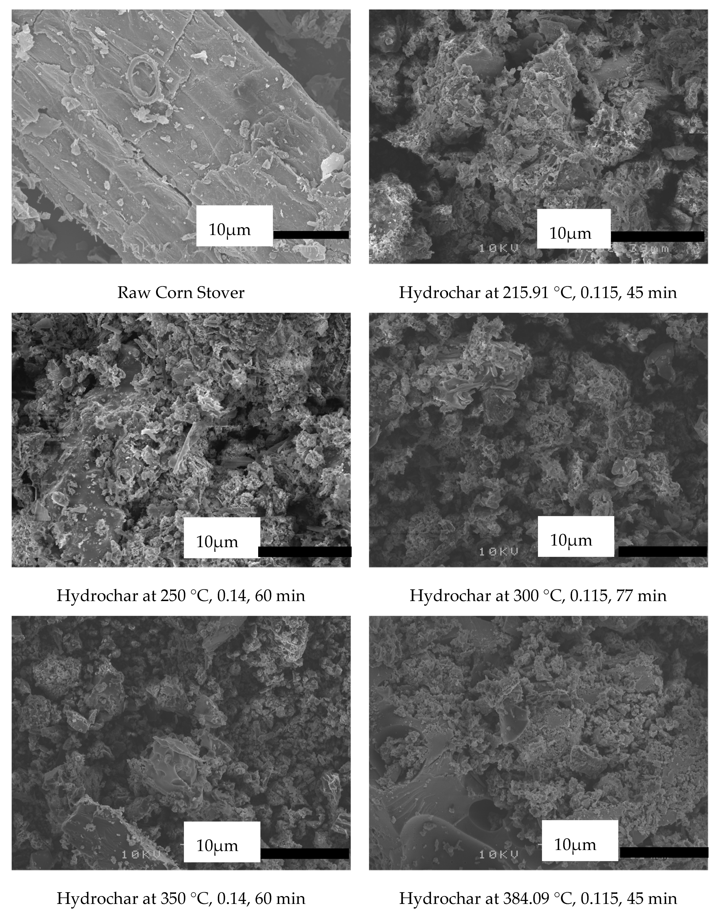 Sustainability 12 05100 g003