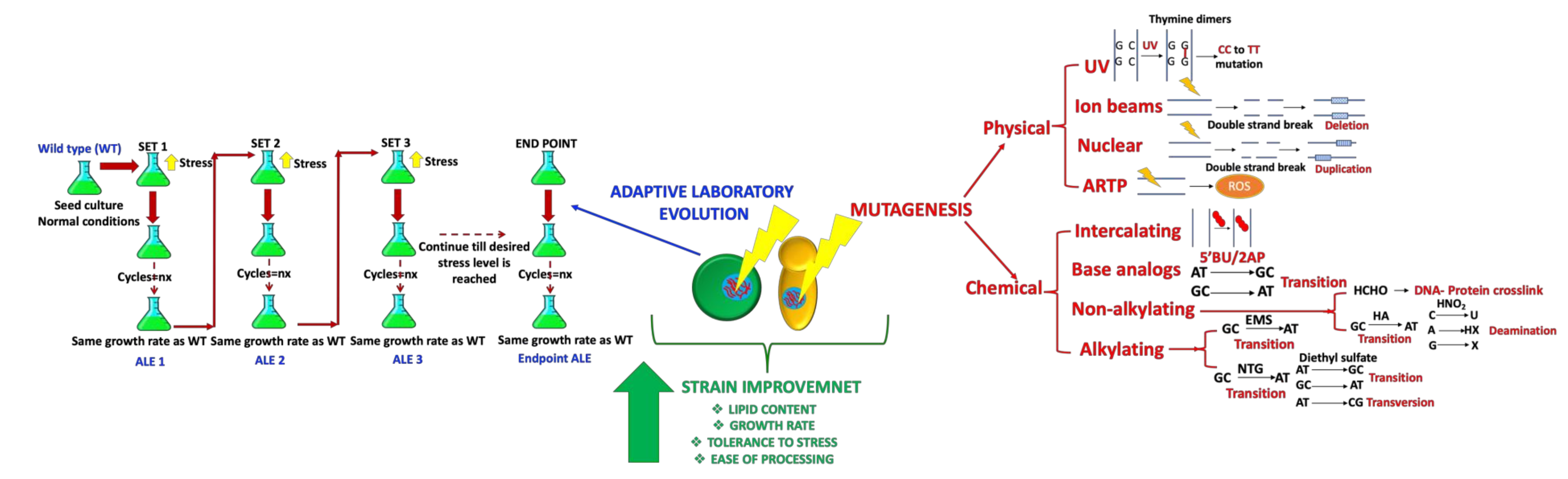 Sustainability 12 05125 g001