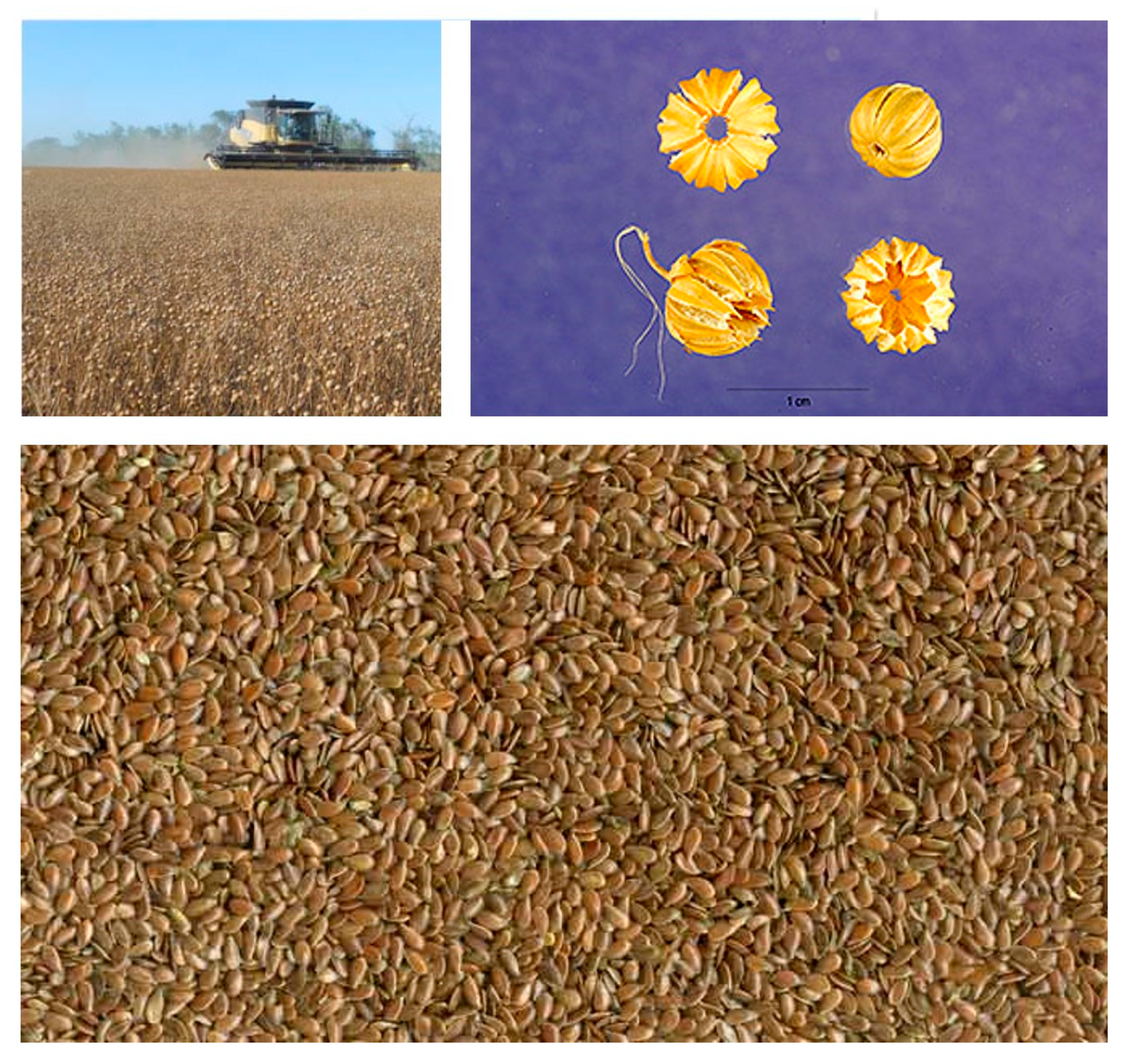 Sustainability 12 05225 g003 Sustainability 12 05225 g003