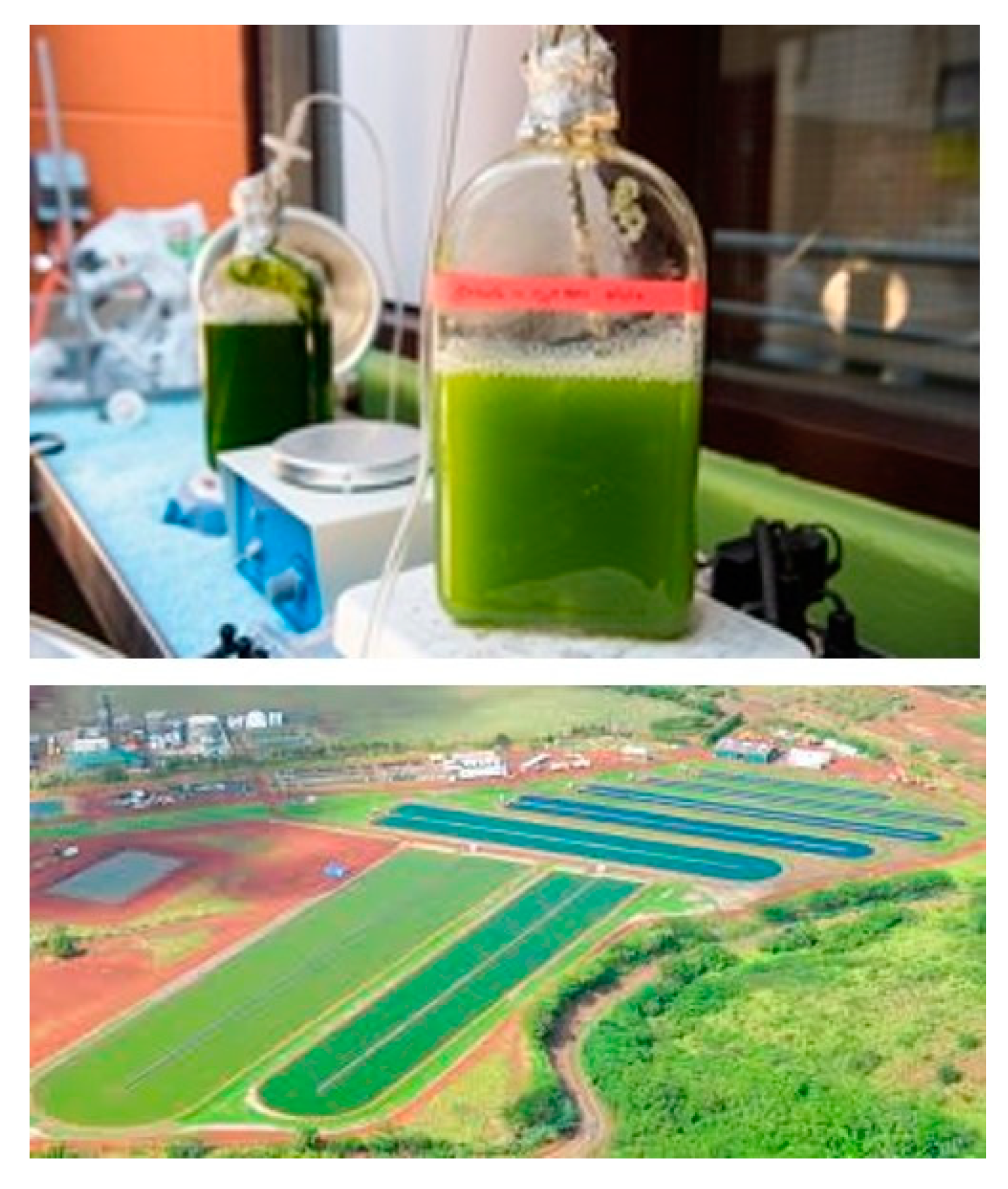 Sustainability 12 05225 g007 Sustainability 12 05225 g007