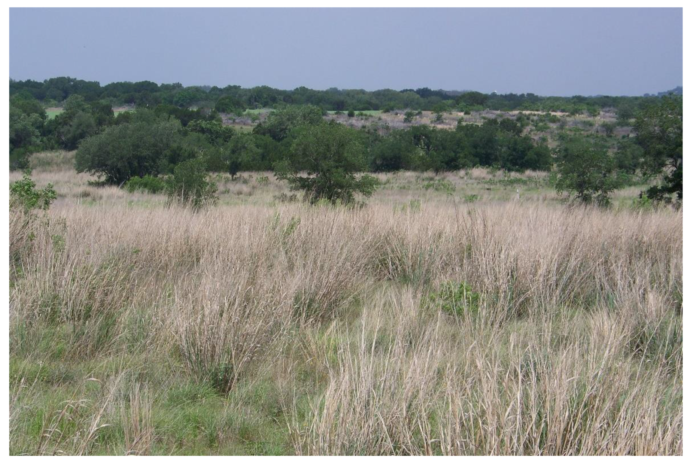 Sustainability 12 05240 g003 Sustainability 12 05240 g003