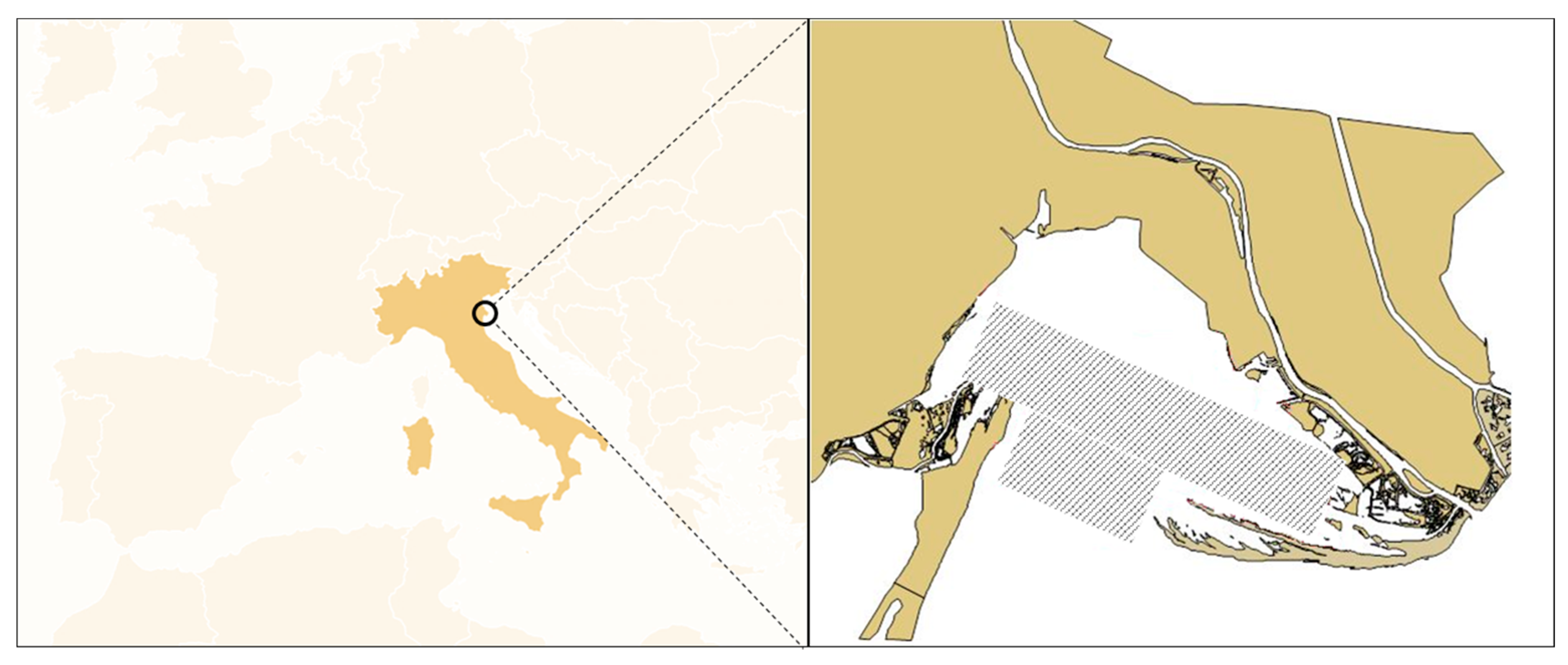 Sustainability Free Full Text Life Cycle Assessment Lca Proves That Manila Clam Farming Ruditapes Philippinarum Is A Fully Sustainable Aquaculture Practice And A Carbon Sink Html