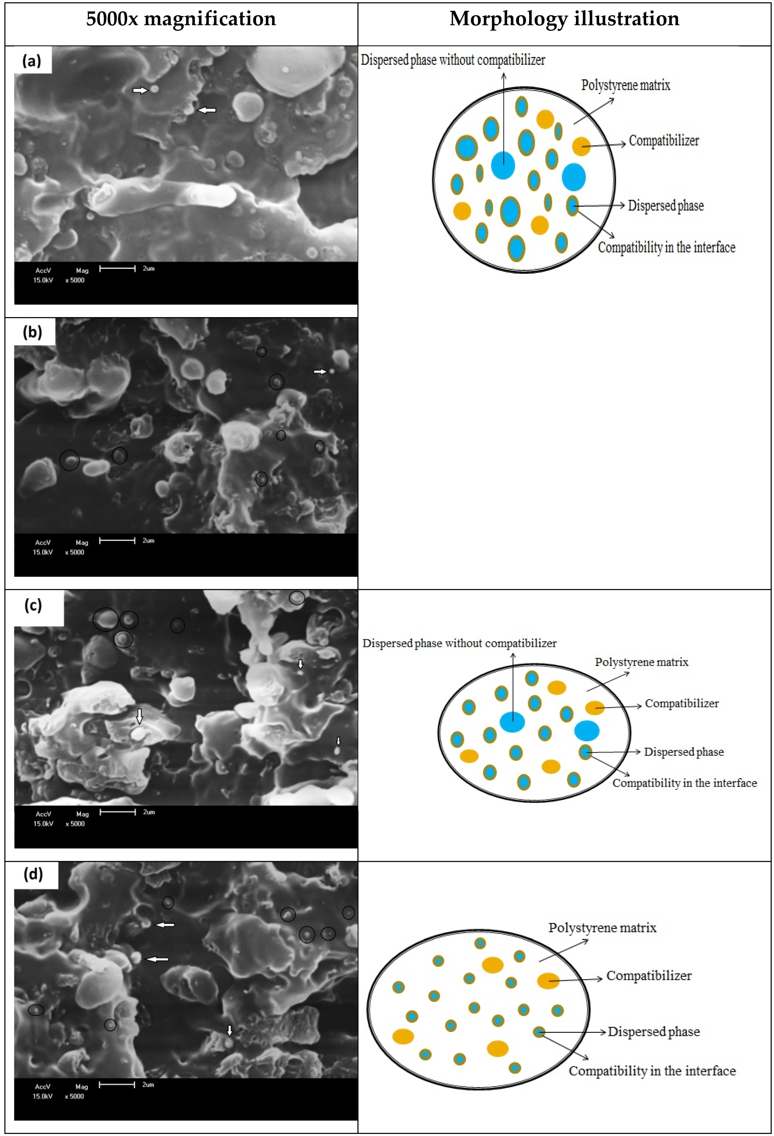 Sustainability 12 05272 g008
