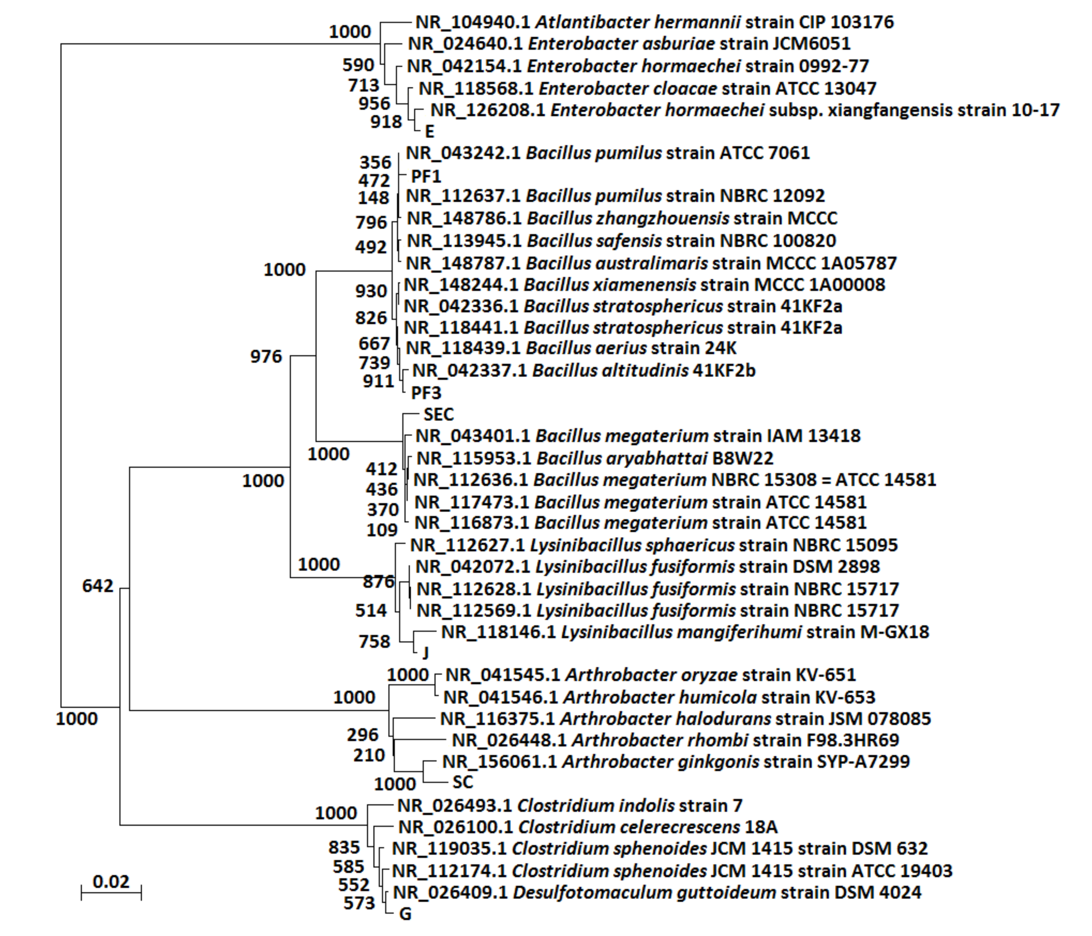 Sustainability 12 05410 g003 Sustainability 12 05410 g003
