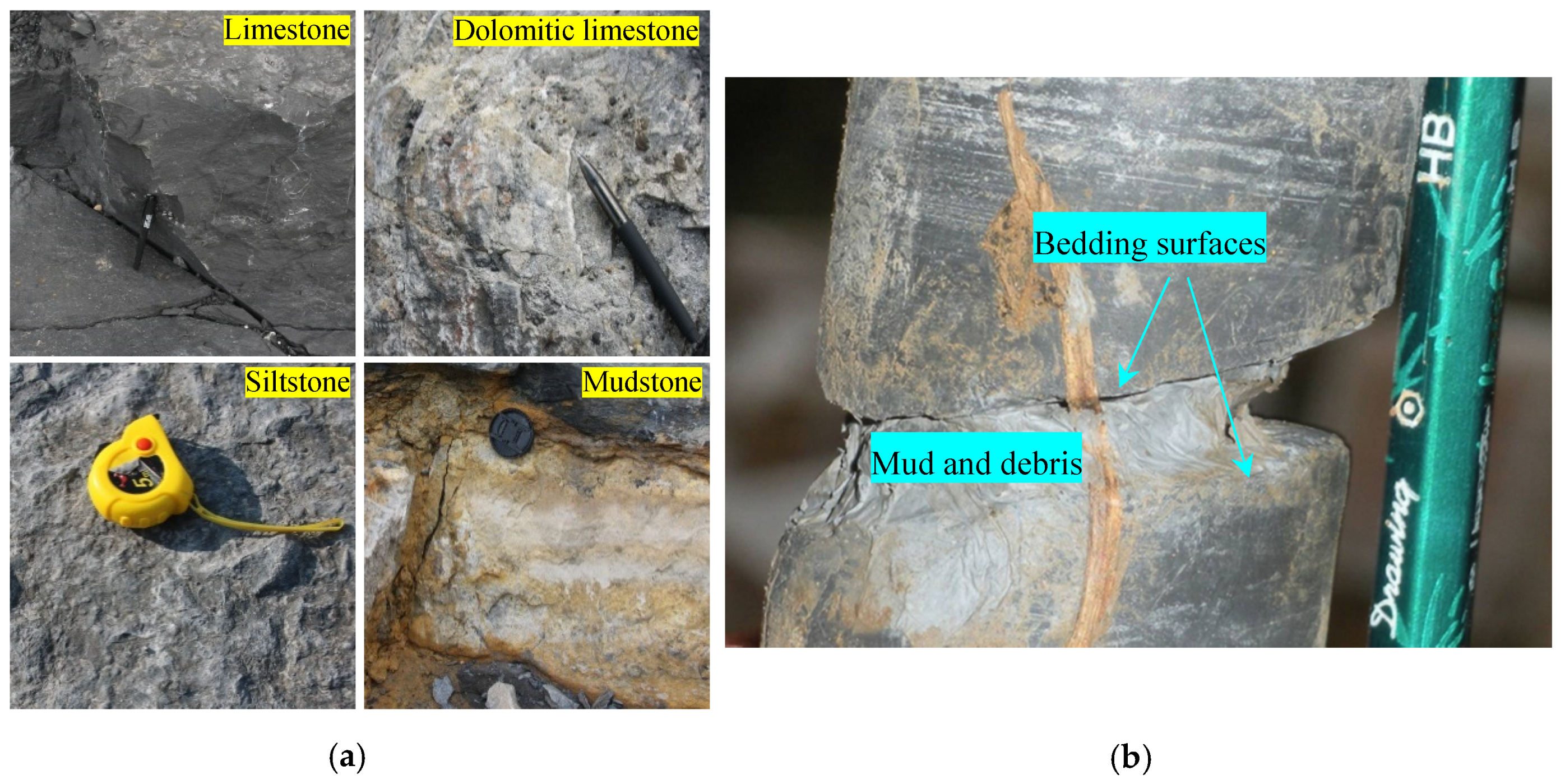 Sustainability 12 05426 g002