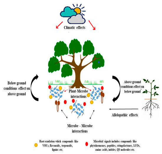 Sustainability 12 05446 g002 550