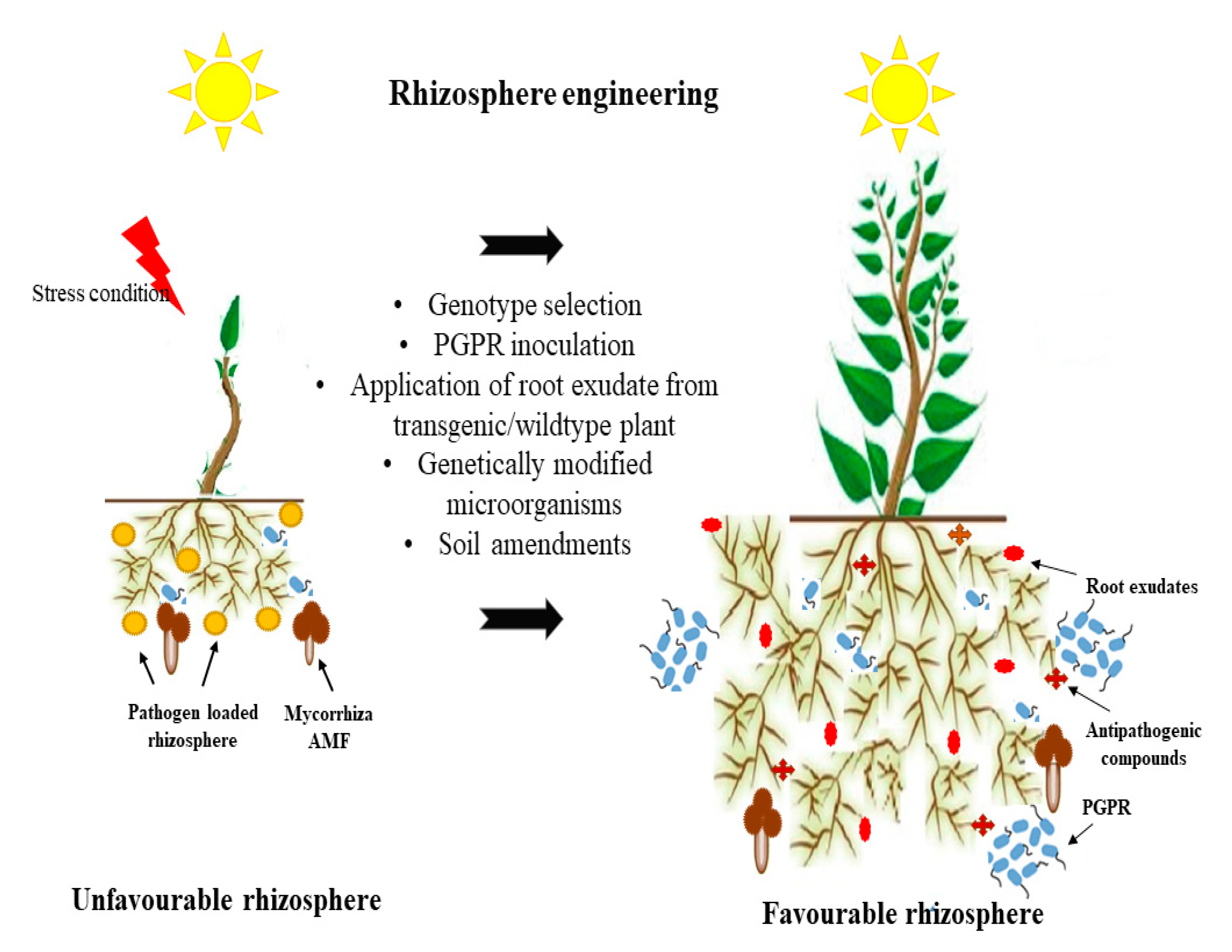 Sustainability 12 05446 g003