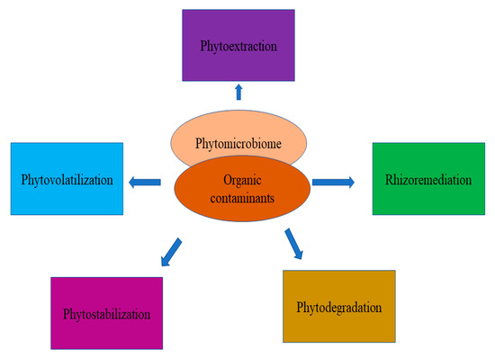 Sustainability 12 05446 g004 550