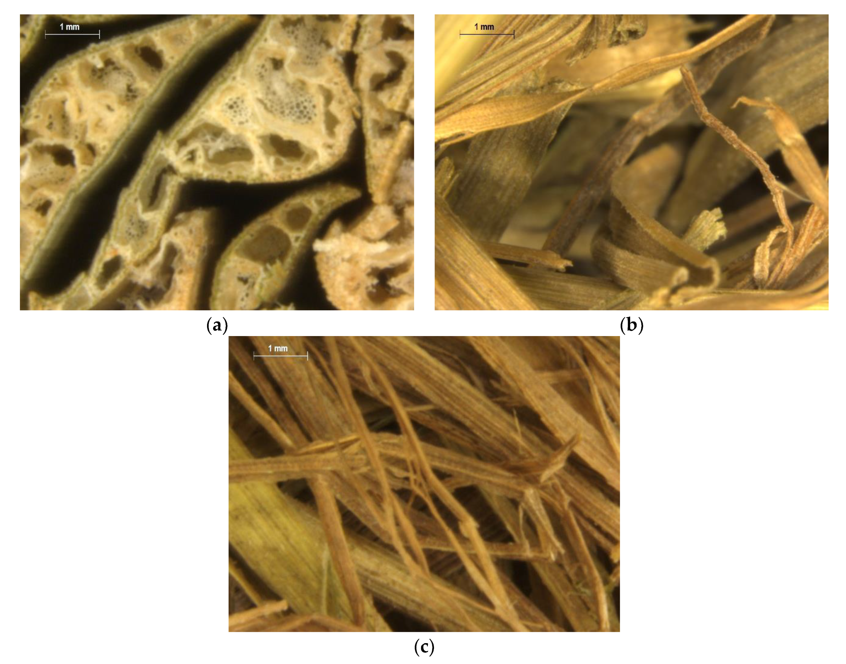 Sustainability 12 05533 g002 Sustainability 12 05533 g002