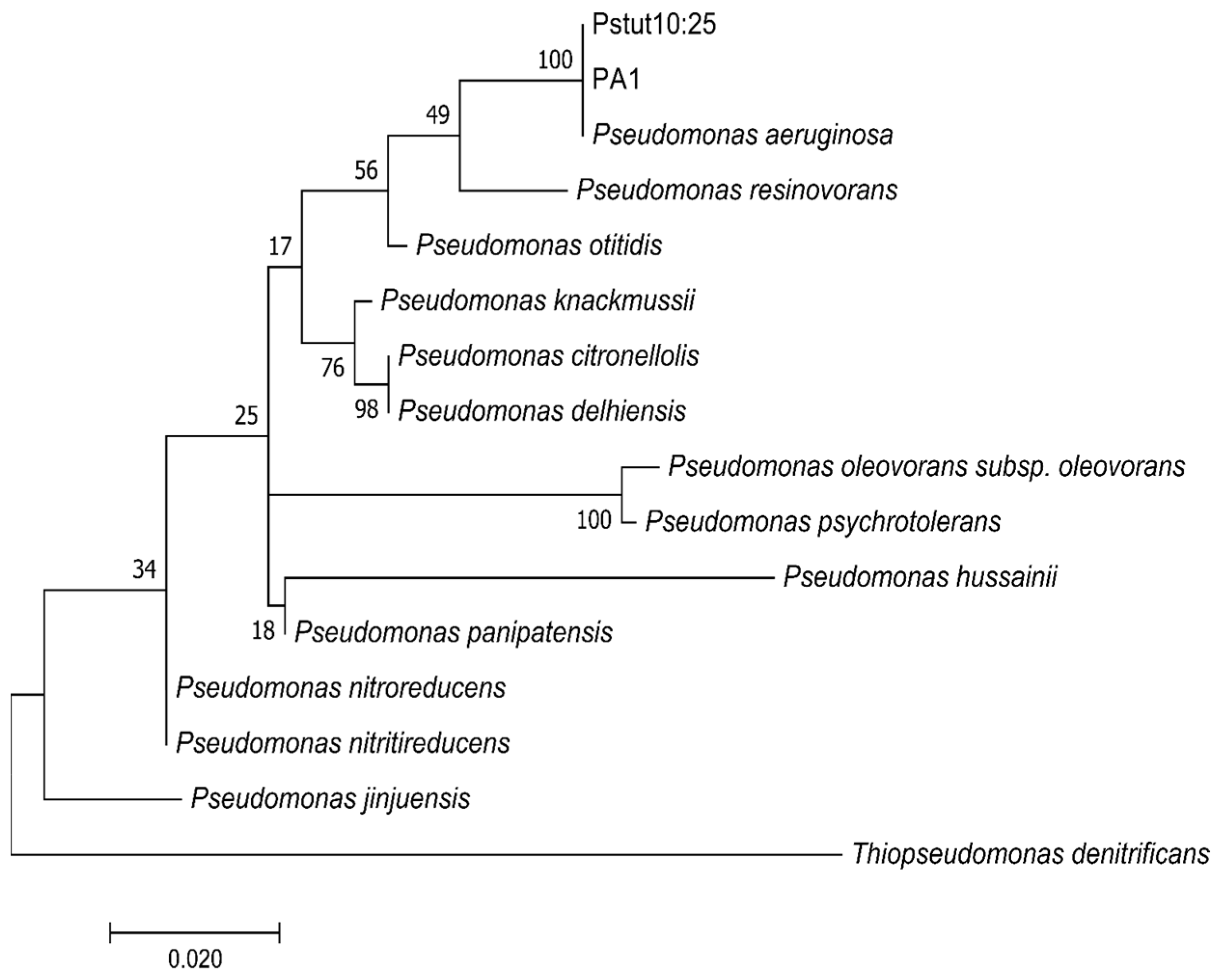 Sustainability 12 05613 g002 Sustainability 12 05613 g002
