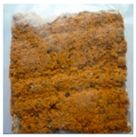 Sustainability 12 05630 i009