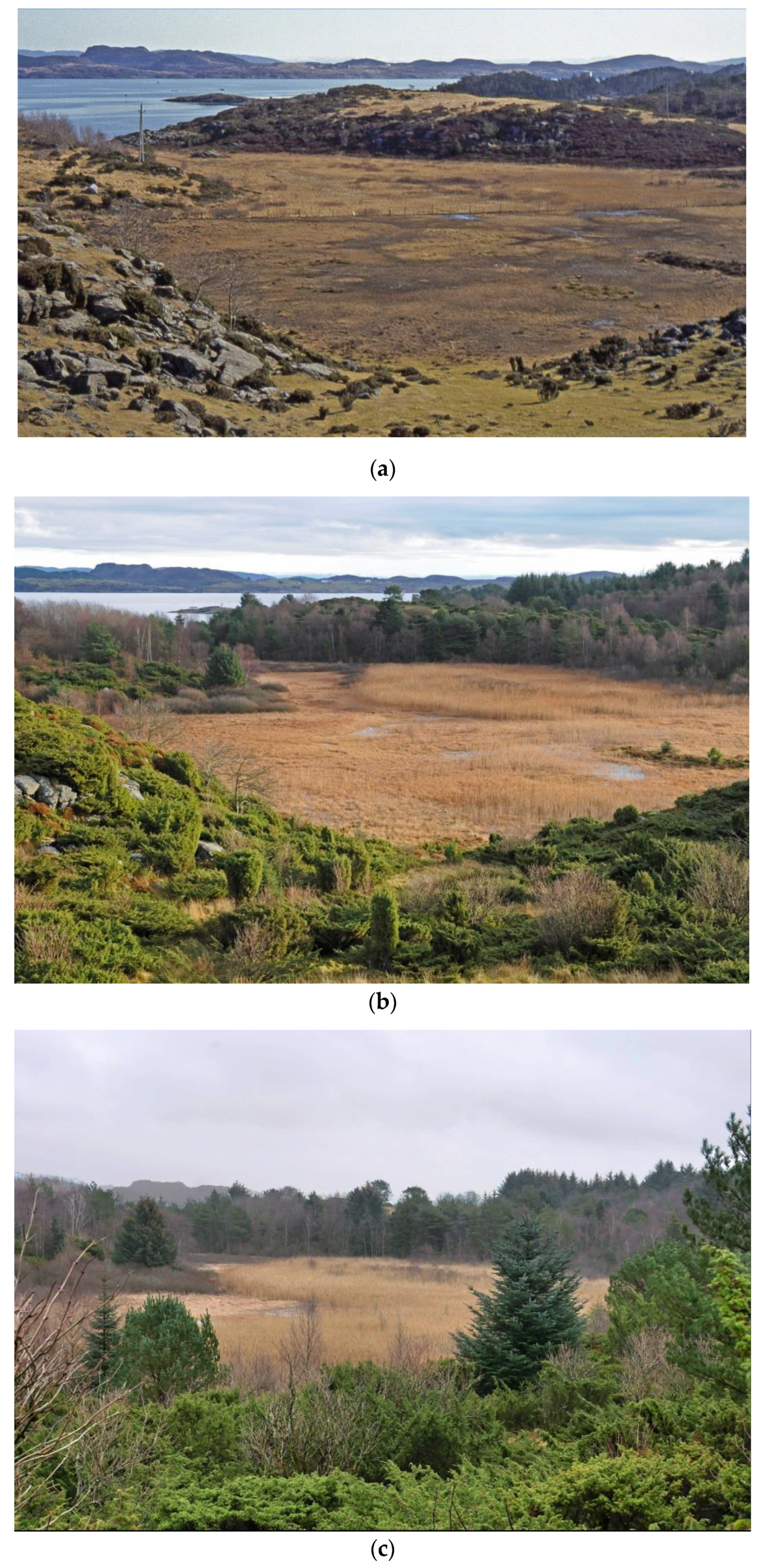 Sustainability 12 05668 g001