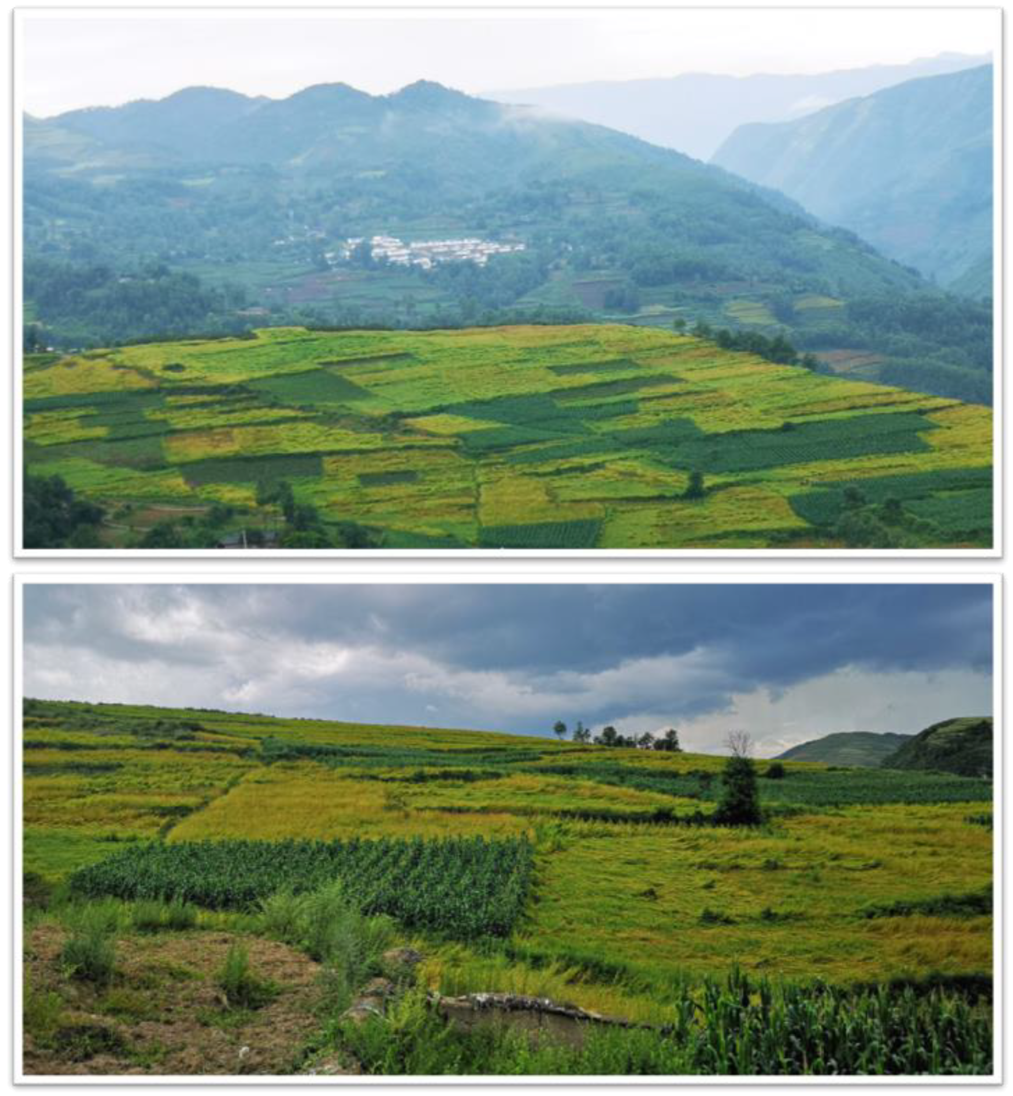 Sustainability 12 05683 g002