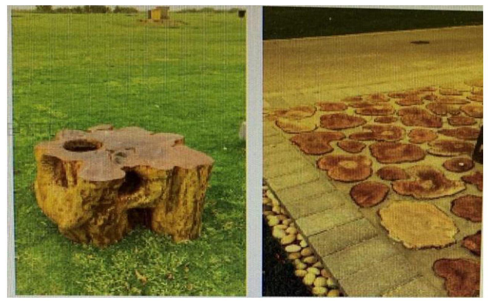 Sustainability 12 05711 g008