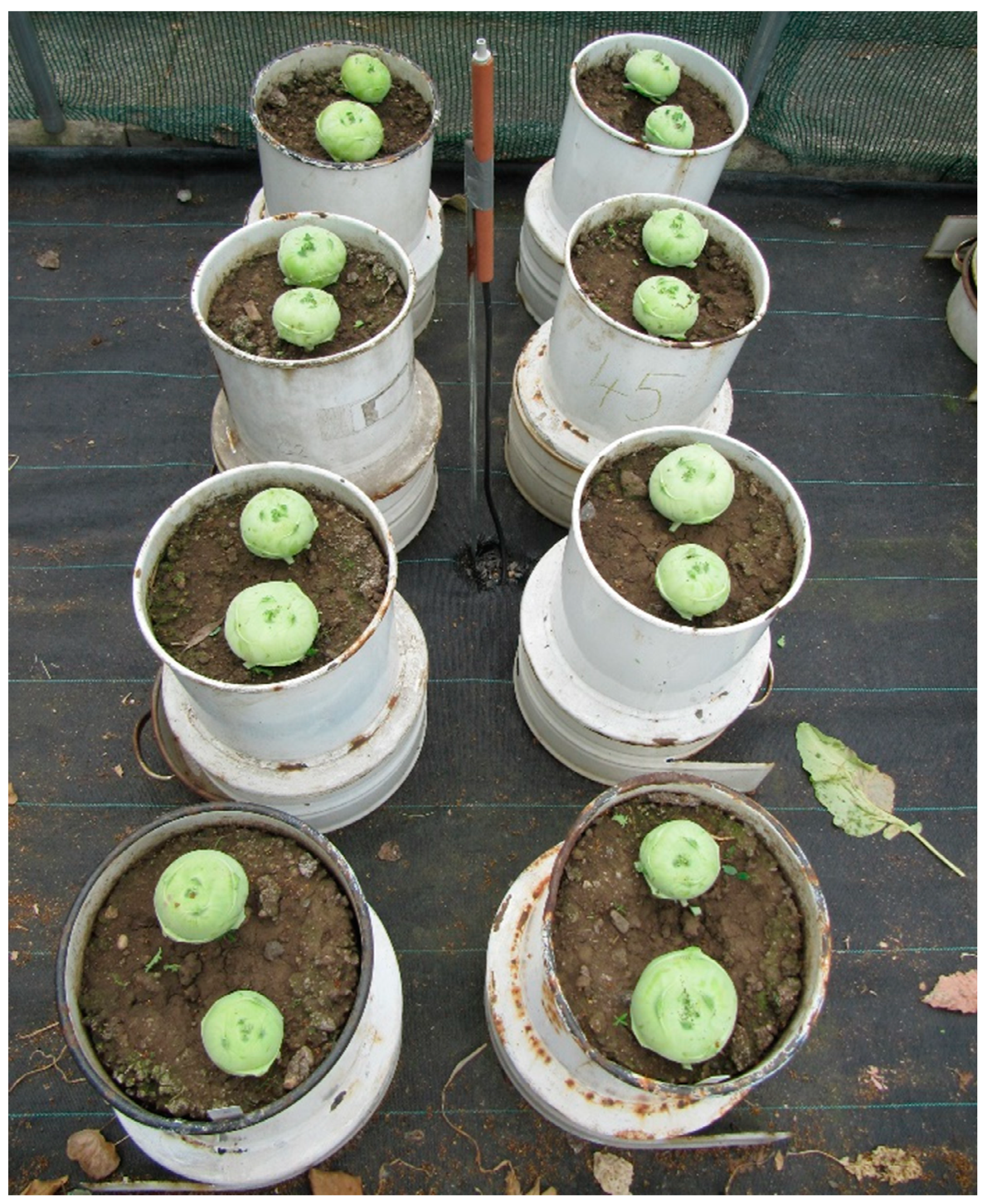 Sustainability 12 05733 g001