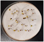 Sustainability 12 05751 i004 Sustainability 12 05751 i004