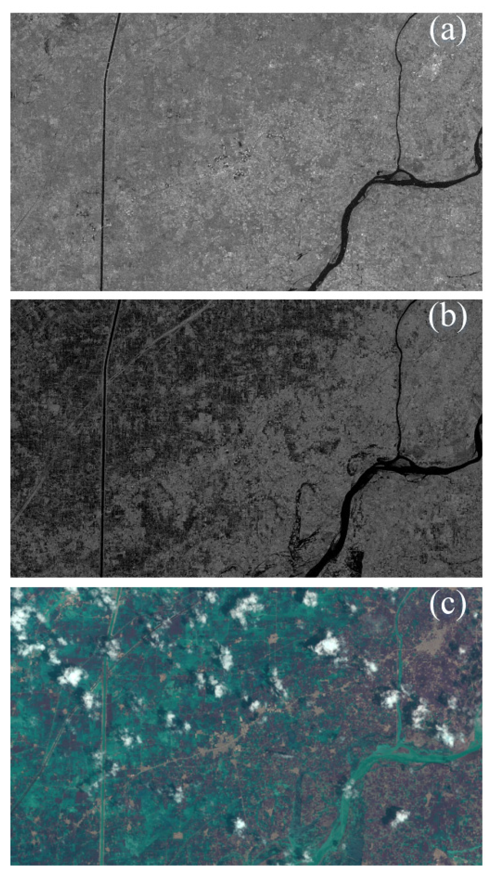 Sustainability 12 05784 g003