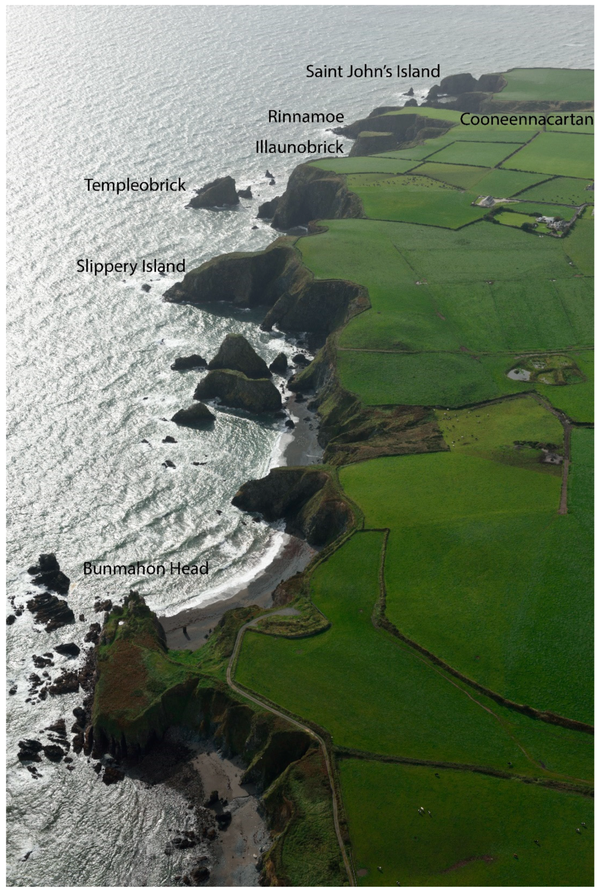 Sustainability 12 05794 g003 Sustainability 12 05794 g003