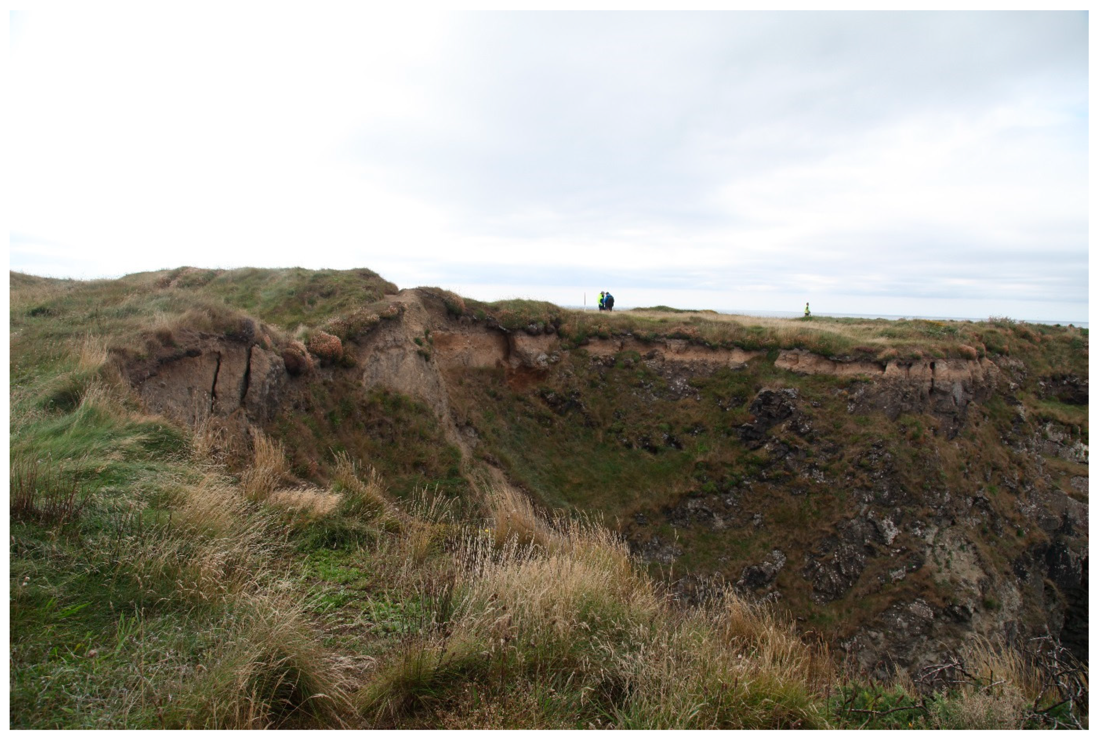 Sustainability 12 05794 g006 Sustainability 12 05794 g006