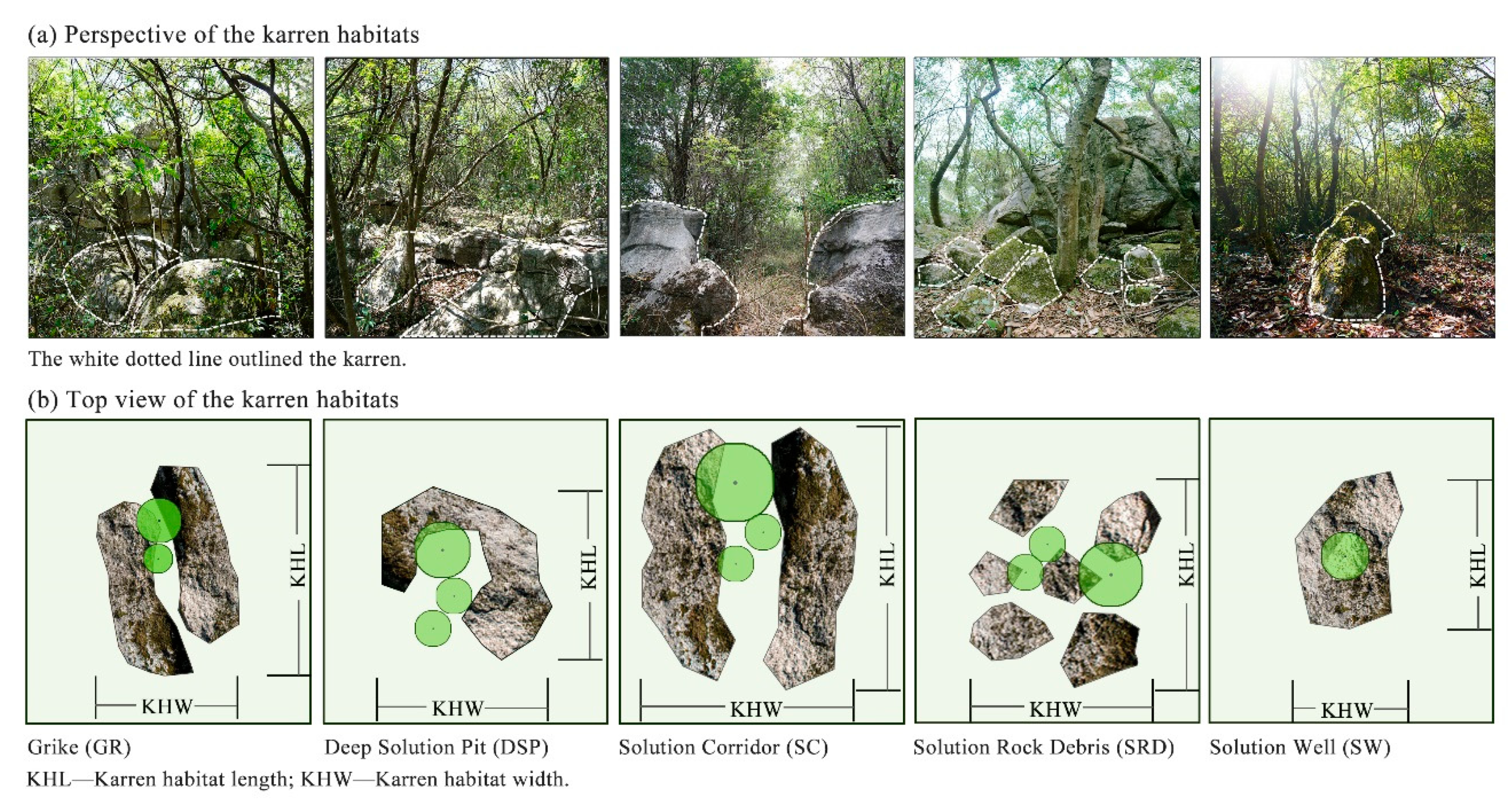 Sustainability 12 05808 g002 Sustainability 12 05808 g002
