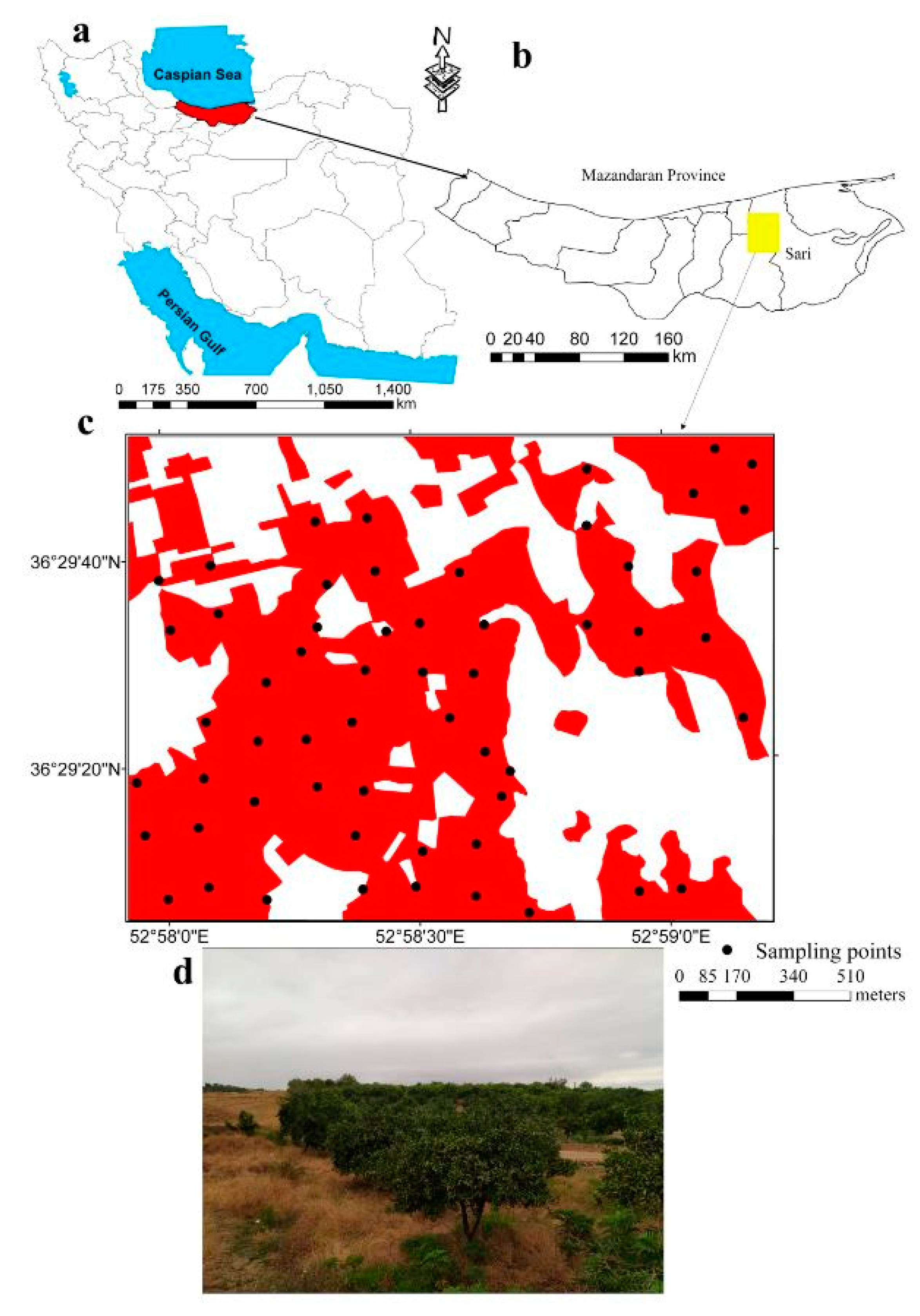 Sustainability 12 05809 g001 Sustainability 12 05809 g001