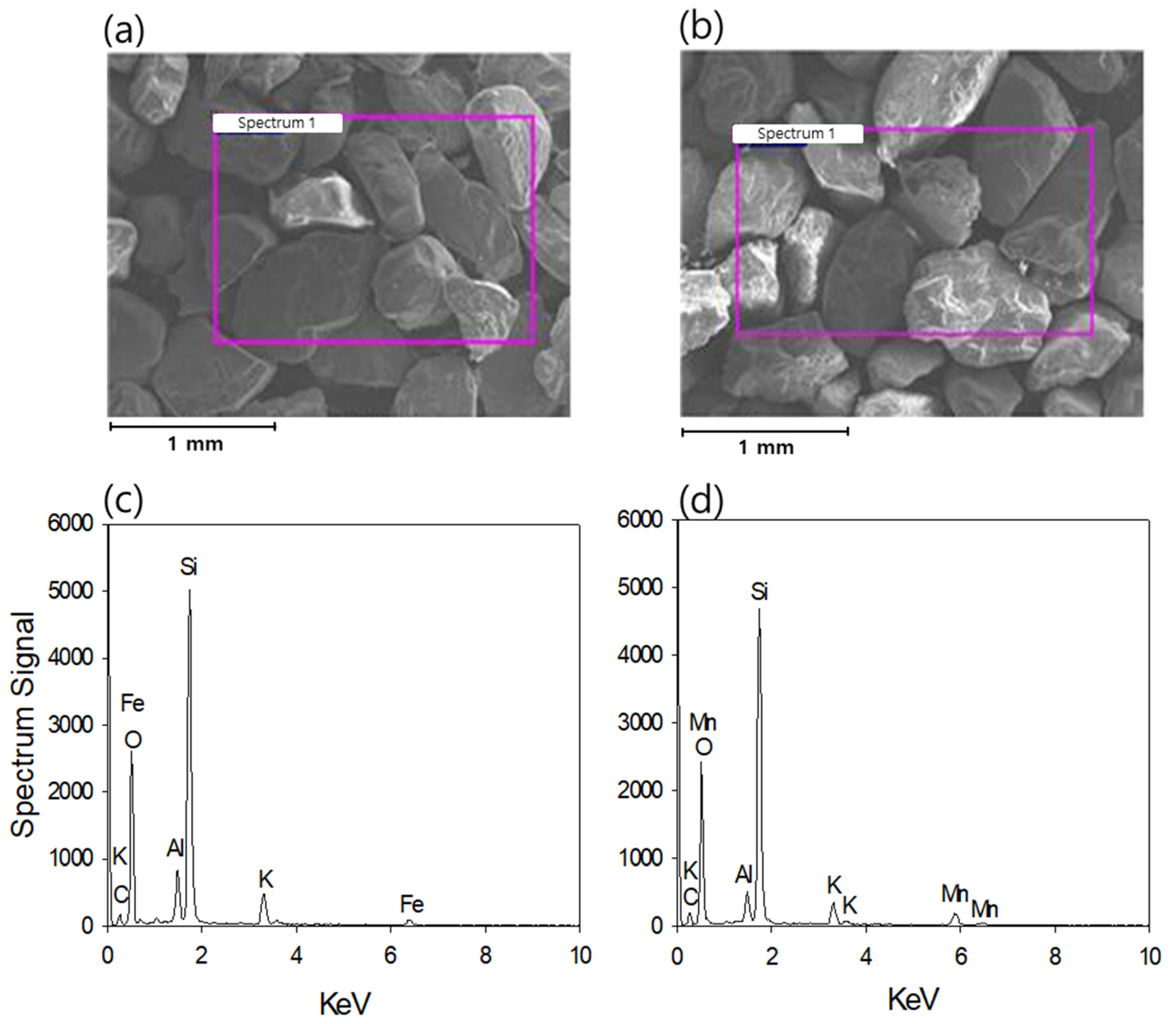 Sustainability 12 05815 g002