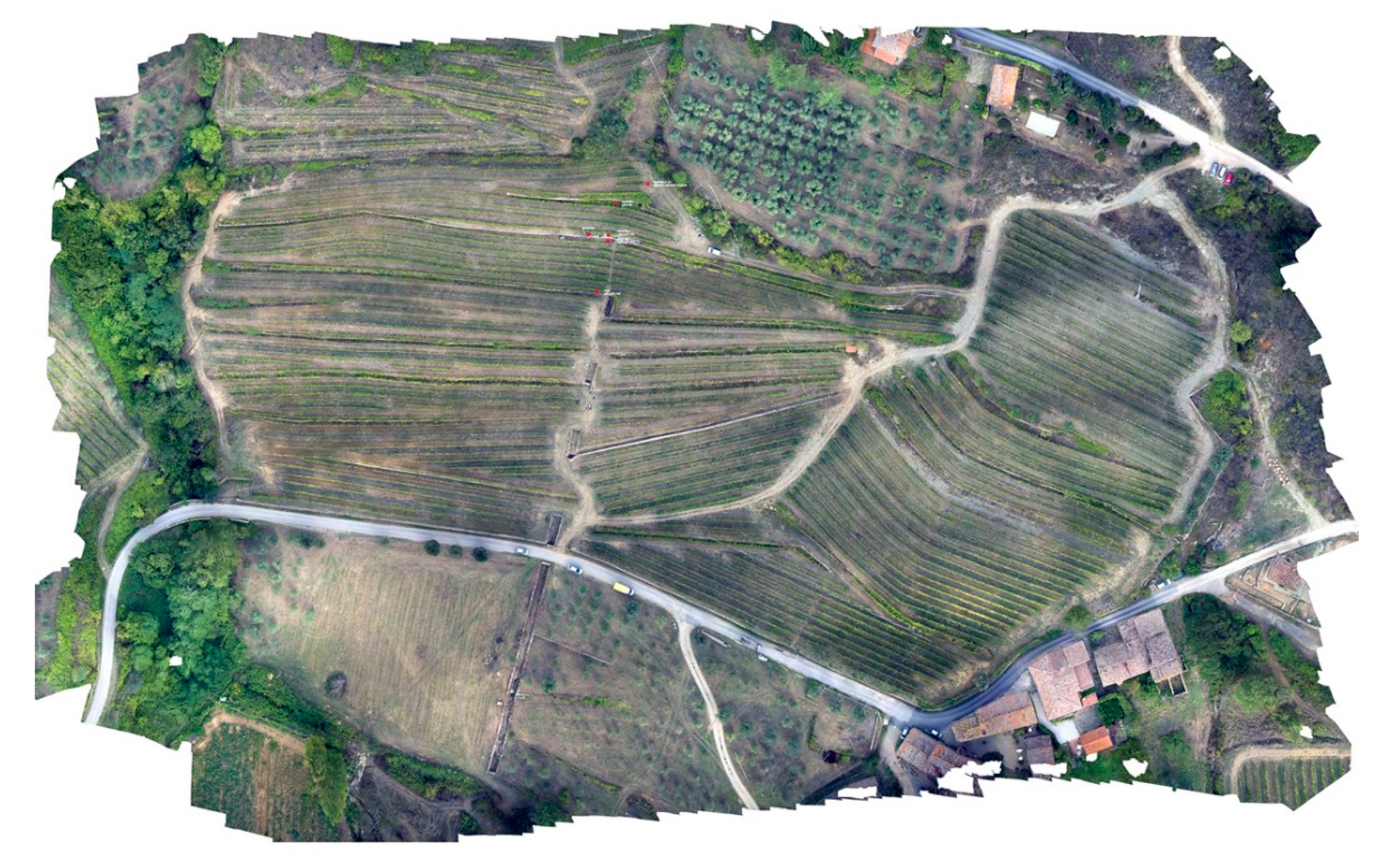 Sustainability 12 05865 g003