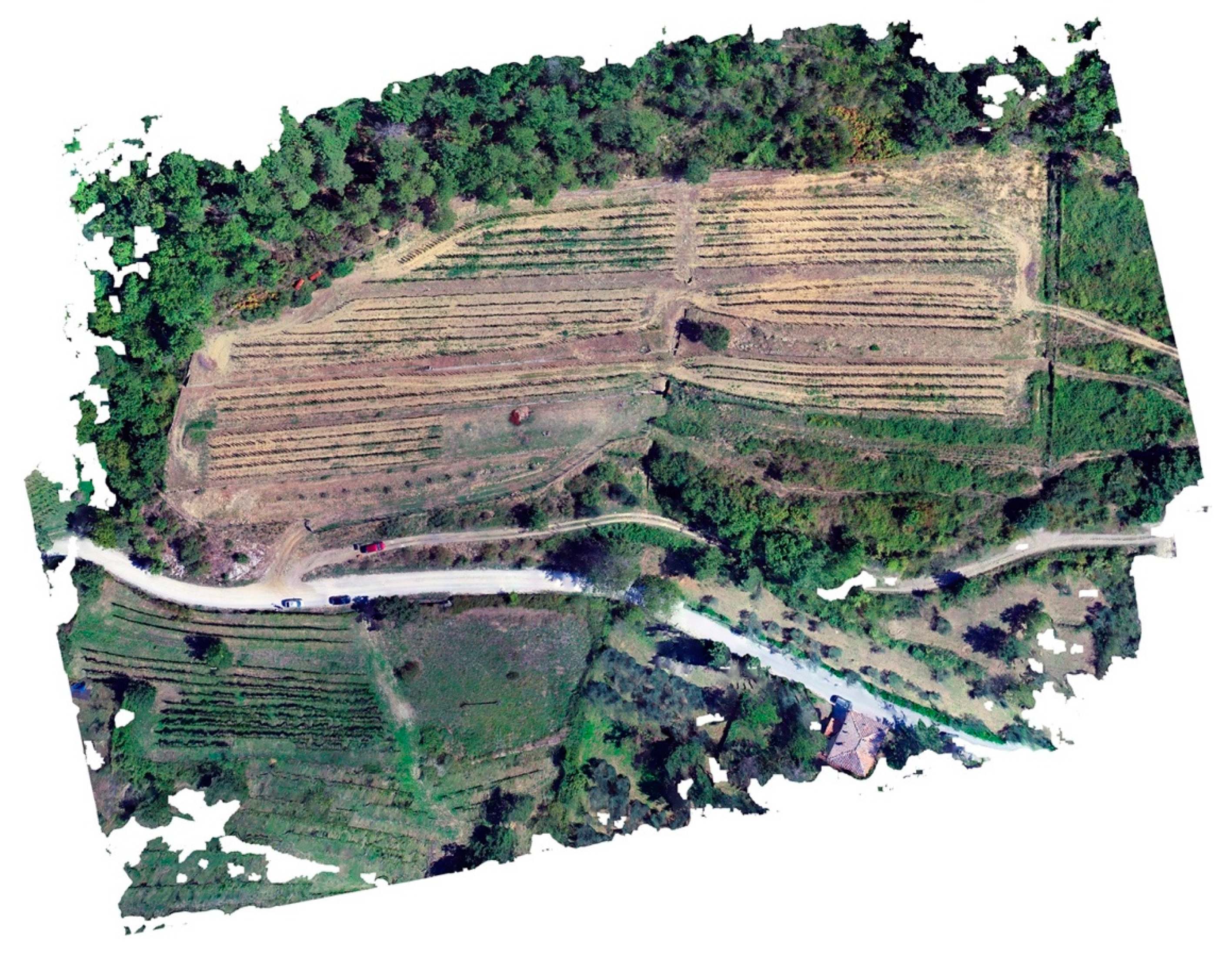 Sustainability 12 05865 g005