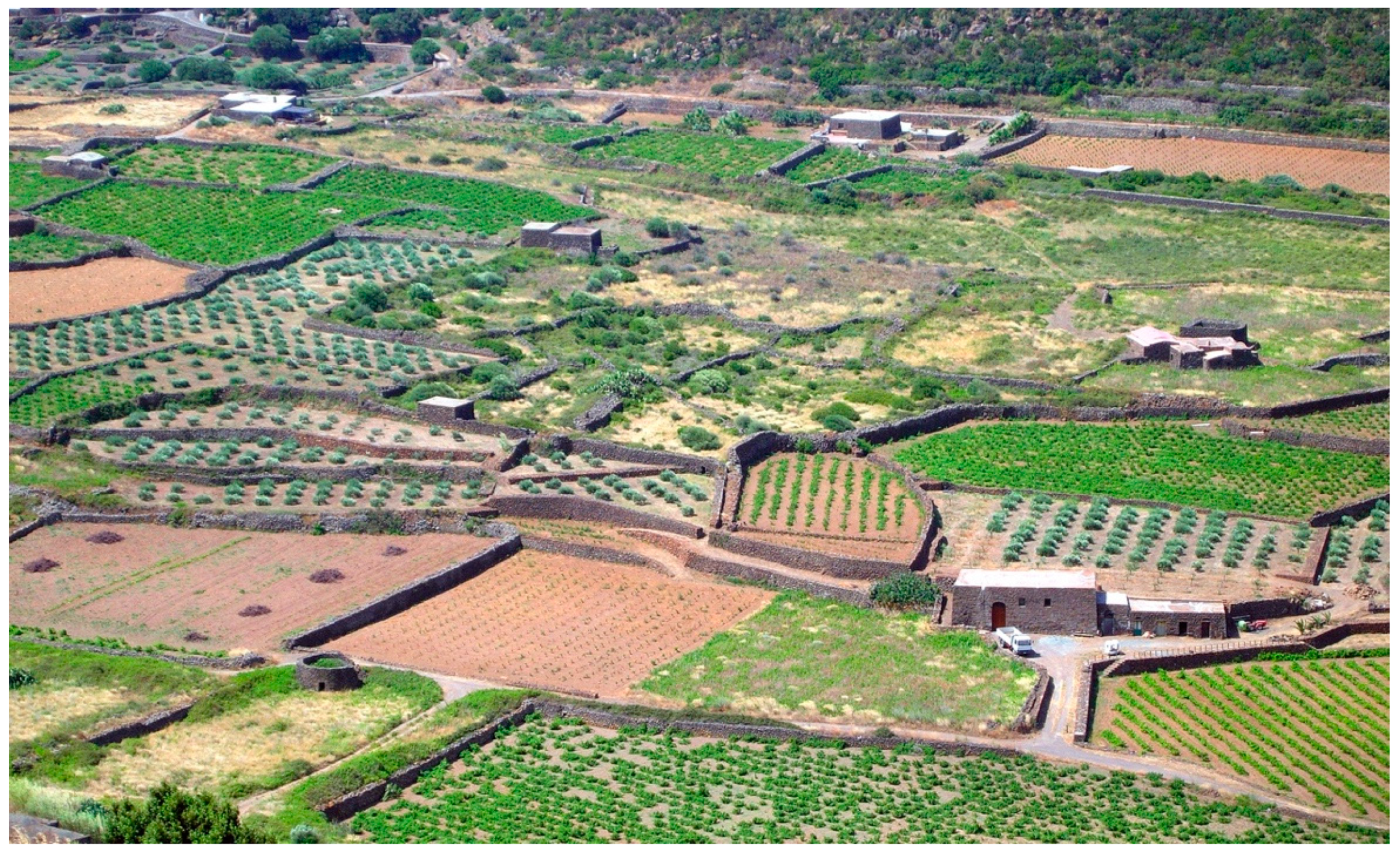 Sustainability 12 05865 g008